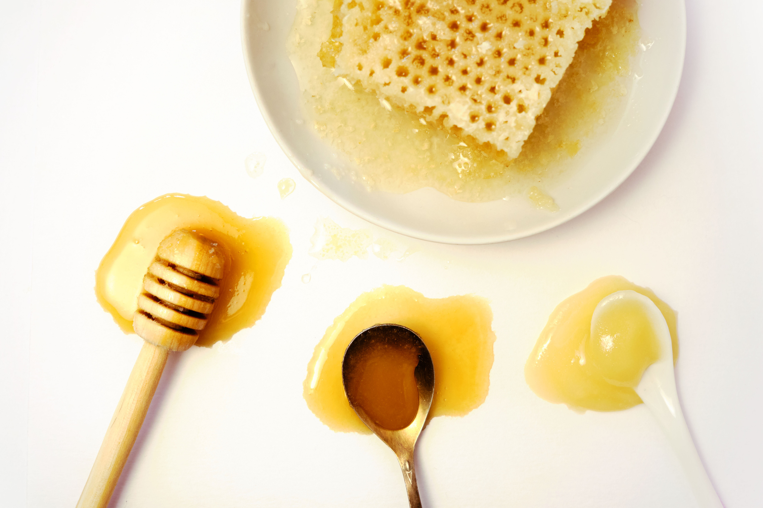 Мегапасека — мёд. Ася Ложкина фотограф Ижевск