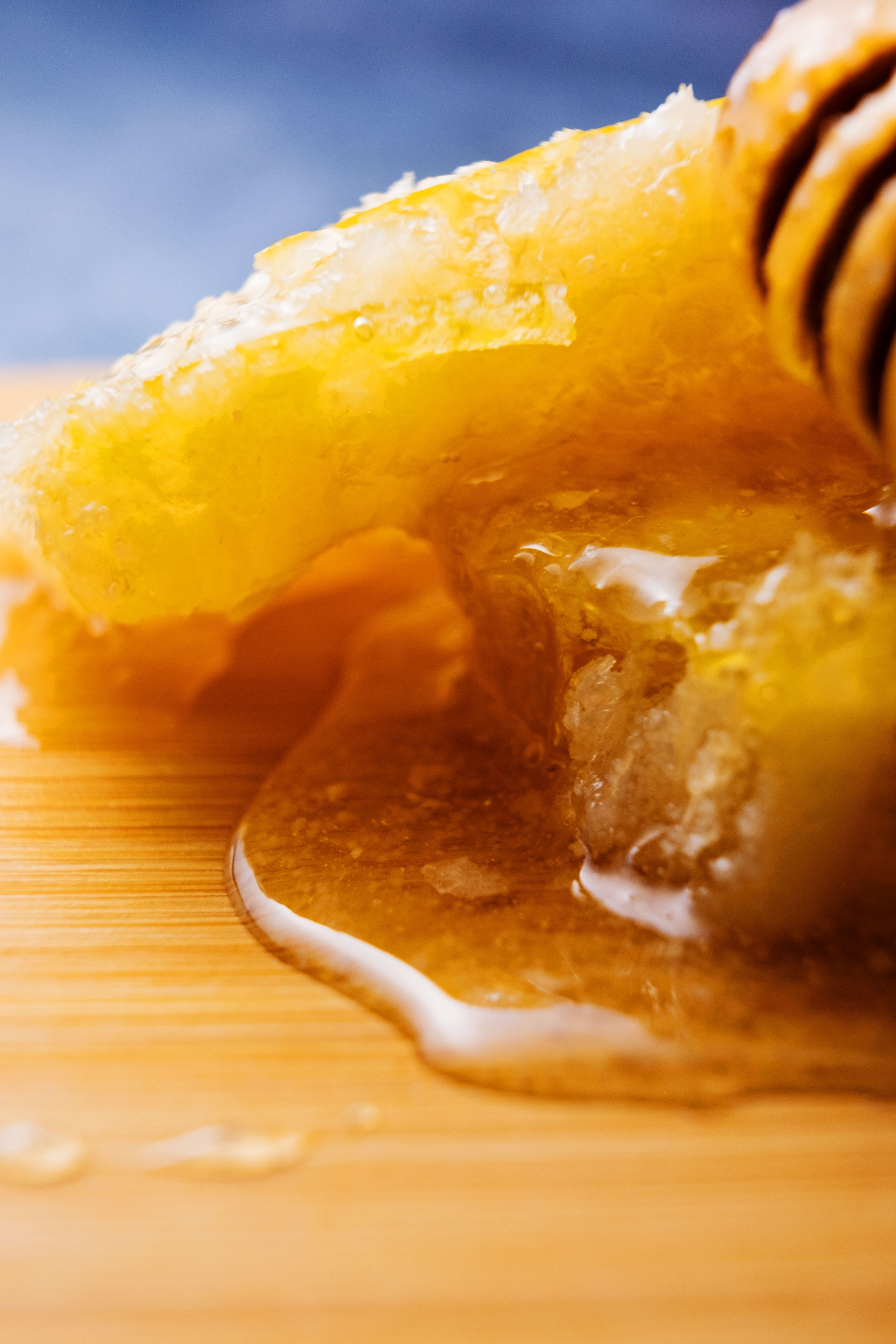 Мегапасека — мёд. Ася Ложкина фотограф Ижевск