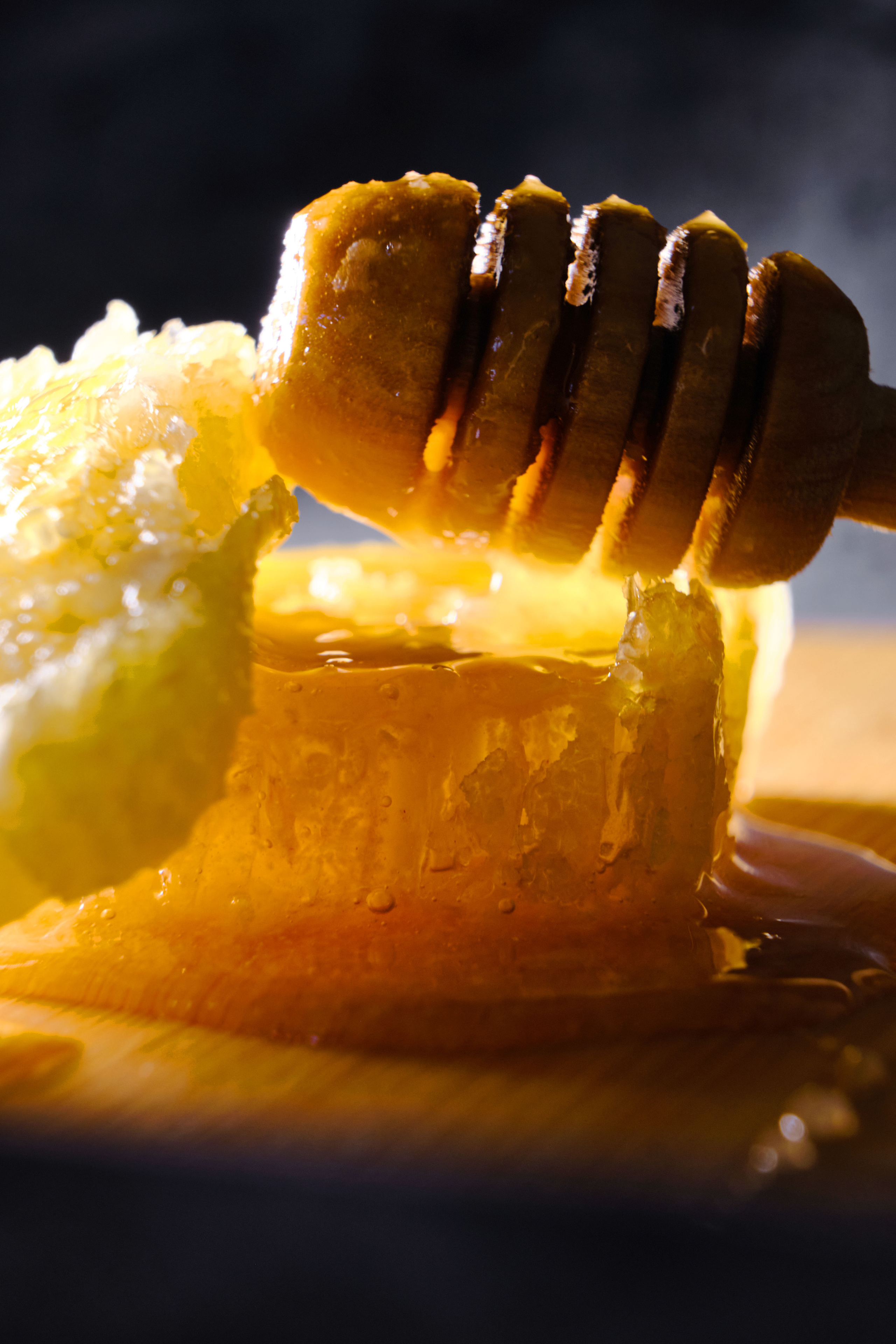 Мегапасека — мёд. Ася Ложкина фотограф Ижевск