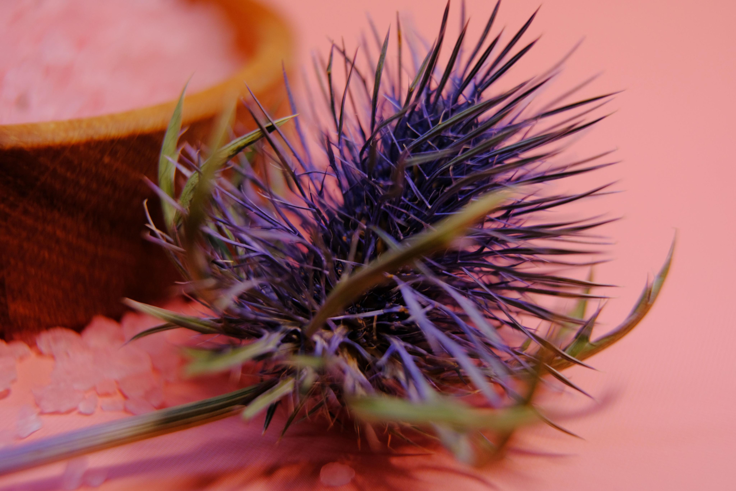 Соль для ванн. Ася Ложкина фотограф Ижевск