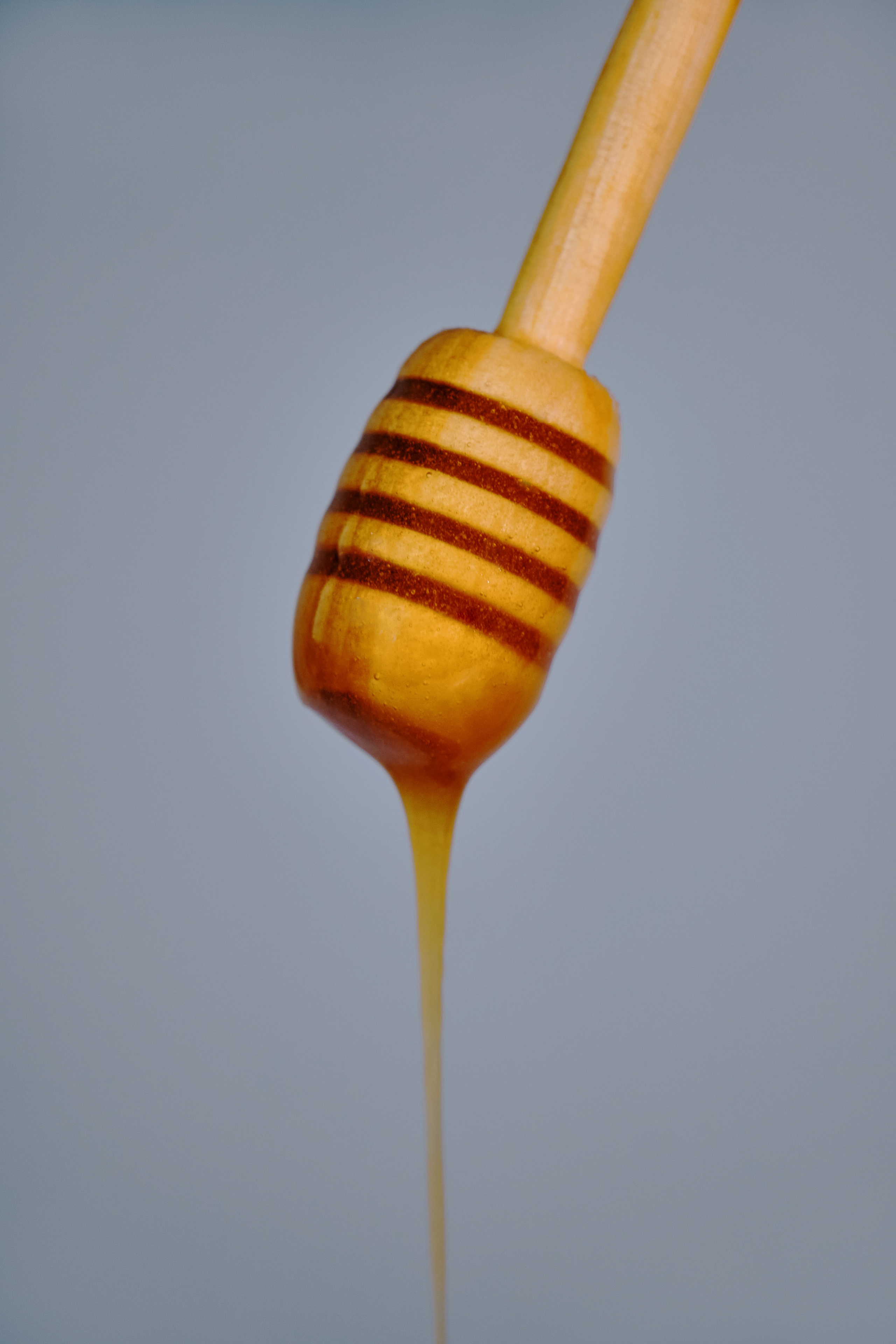 Мёд. Ася Ложкина фотограф Ижевск