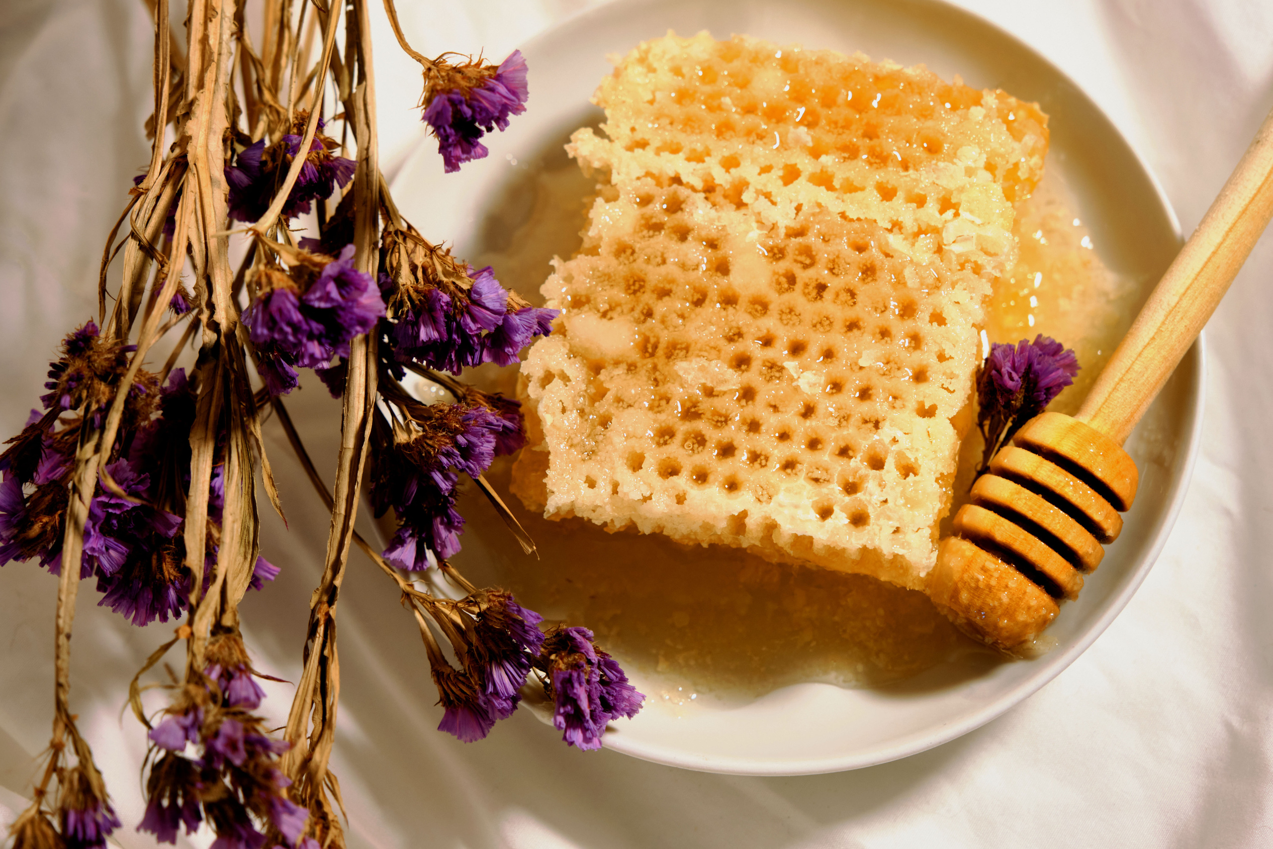 Мегапасека — мёд. Ася Ложкина фотограф Ижевск