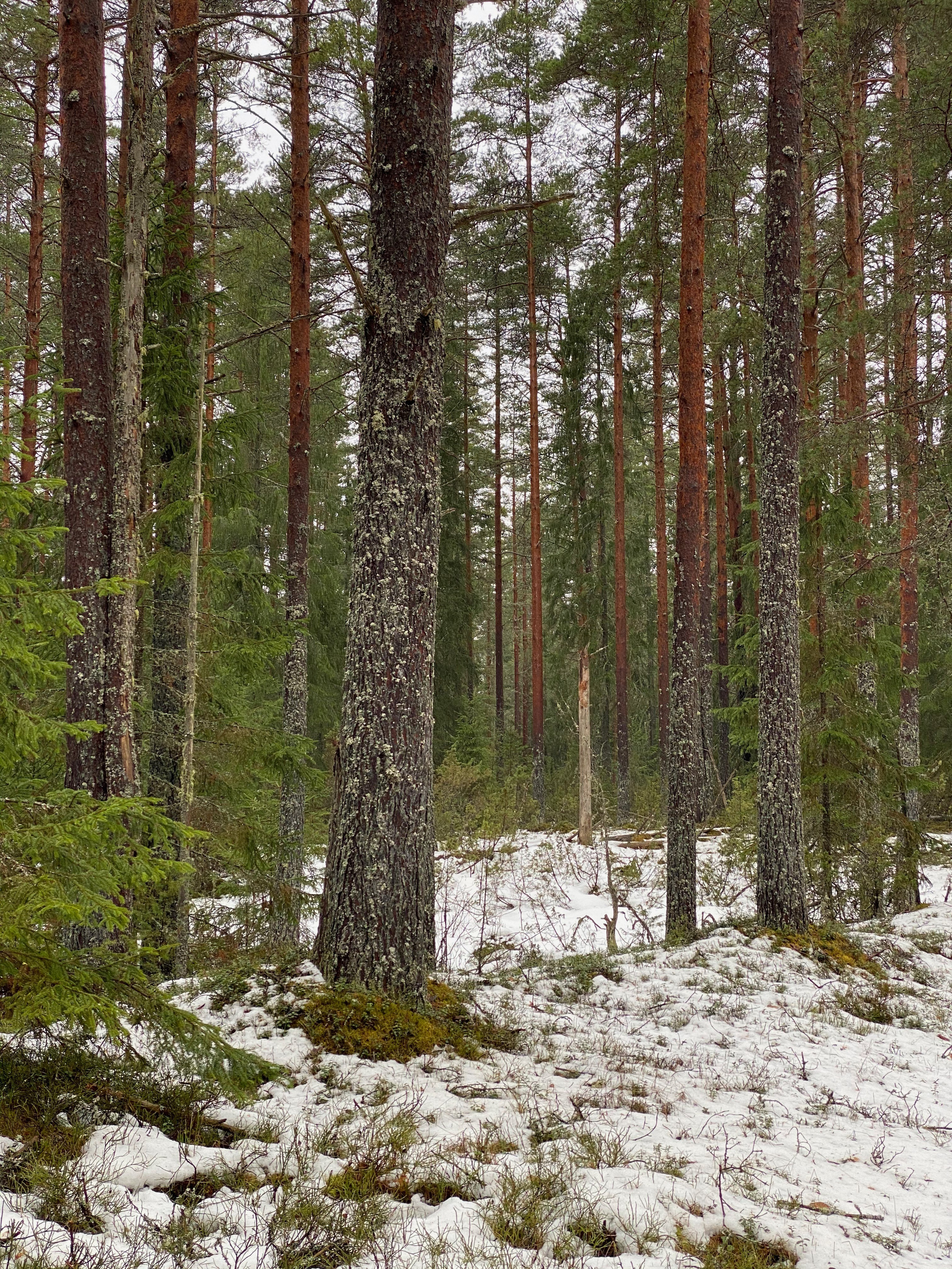 Вокруг Селигера-20. Своя Мастерская