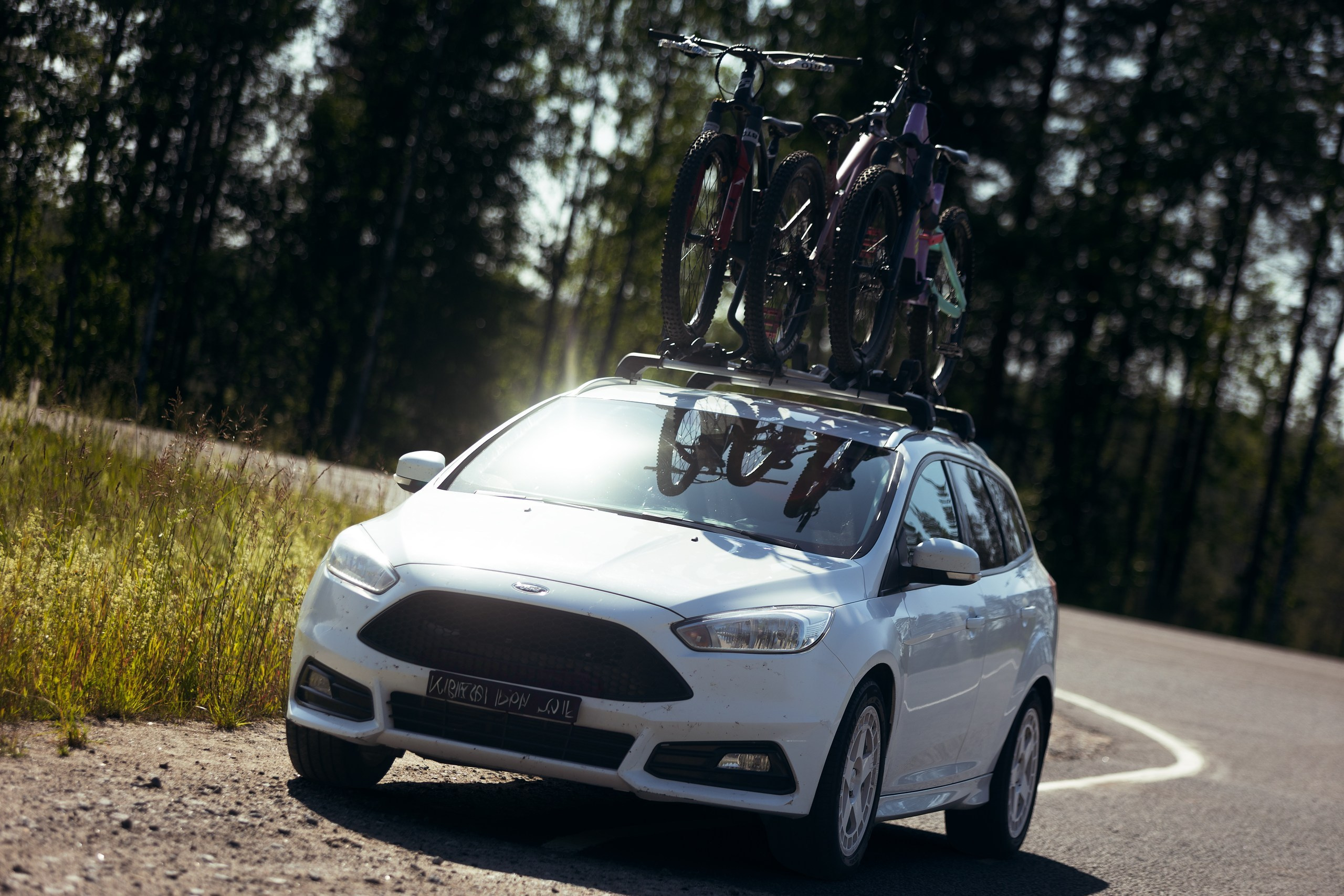 Кандалакшка. Фотограф анималист Никита Натальный