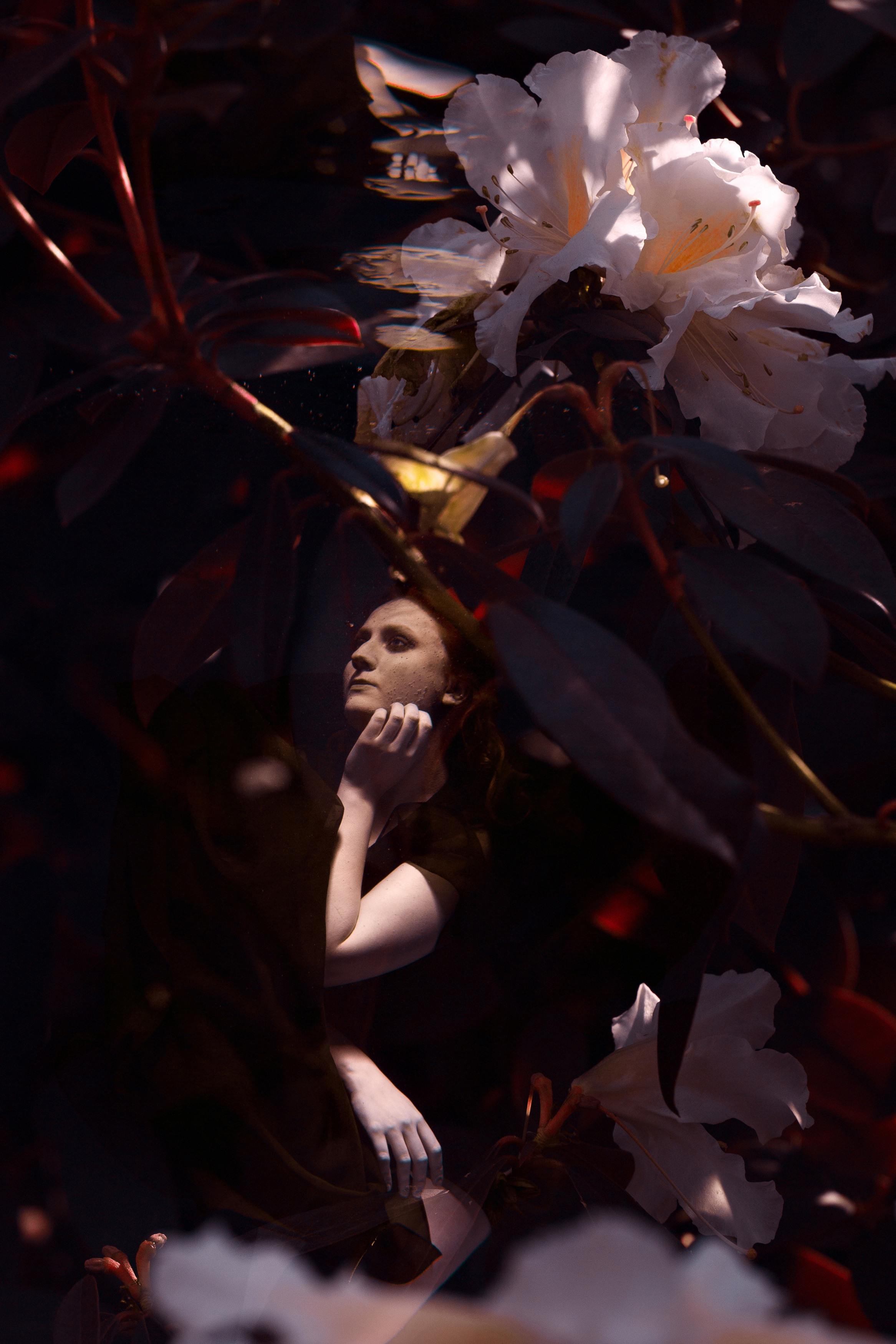 Фотограф в Санкт-Петербурге Вера Сивенкова