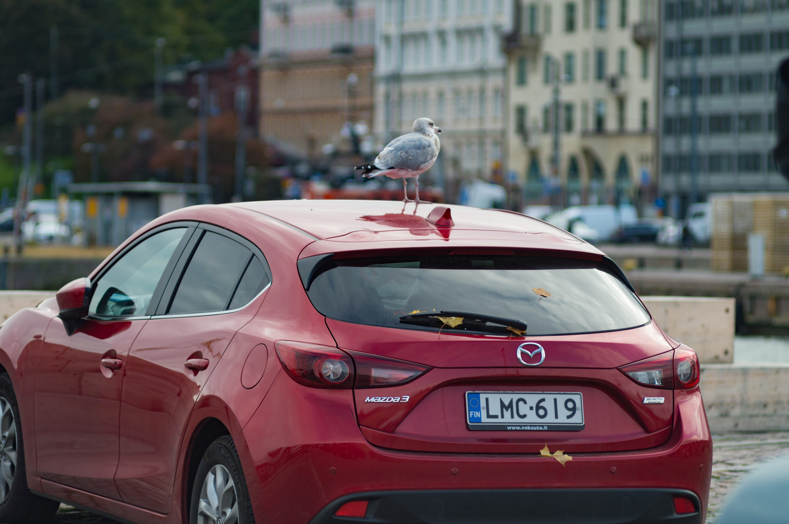 Городские зарисовки. Vadzim Sych. Phptographer