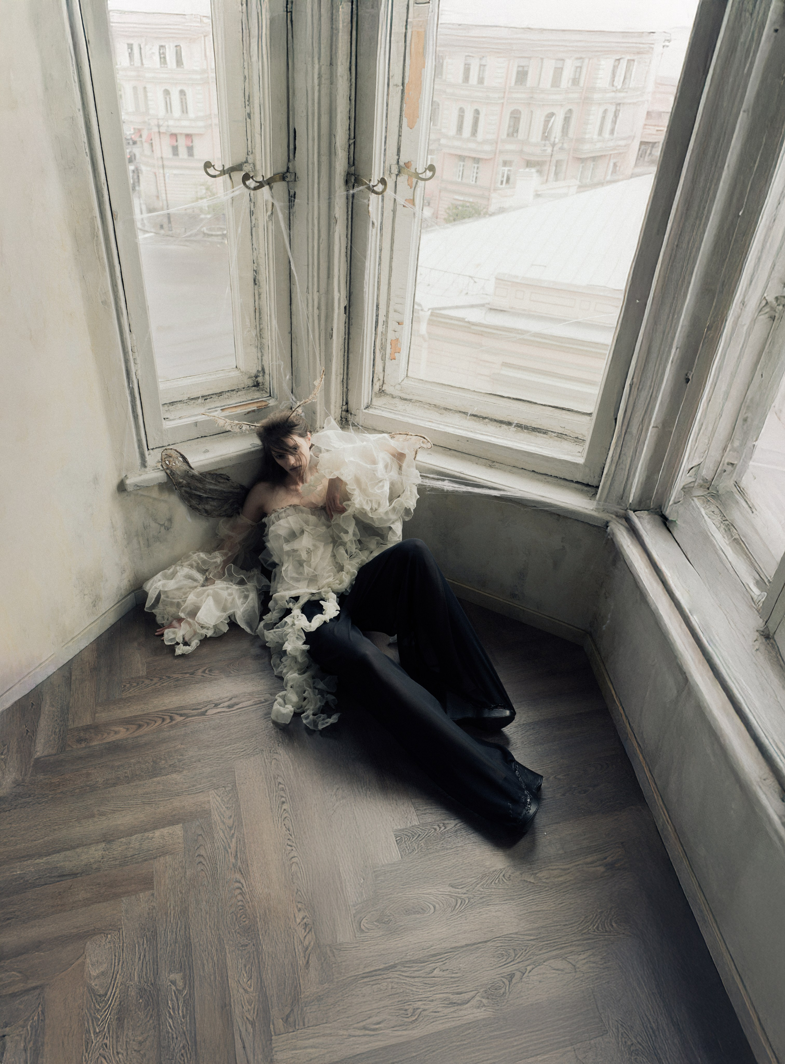 Моль. Фотограф Anita Mivchas