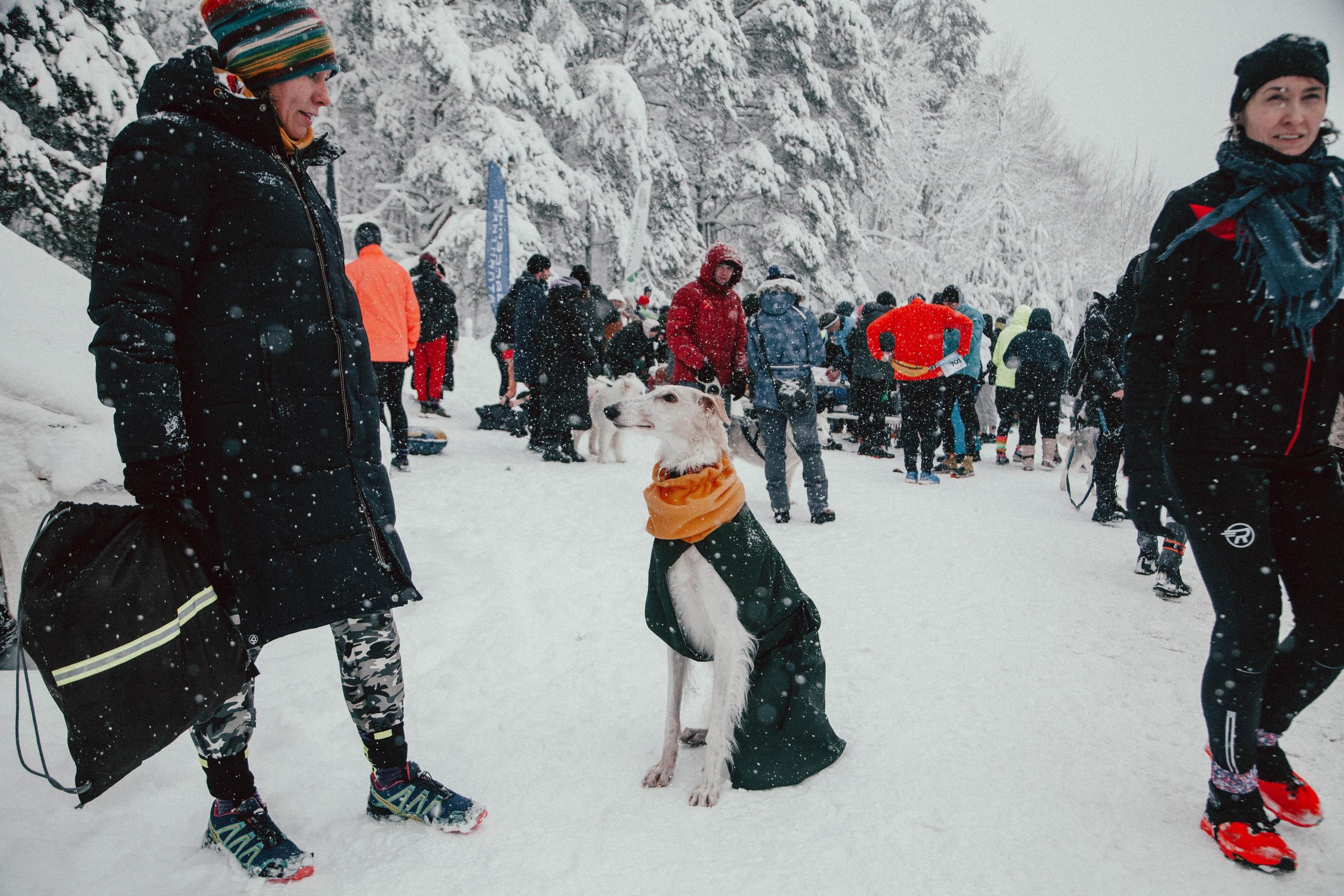 HARD TRAIL в Суоранде. Репортажный фотограф во Всеволожске и Санкт-Петербурге Владимир Капустин