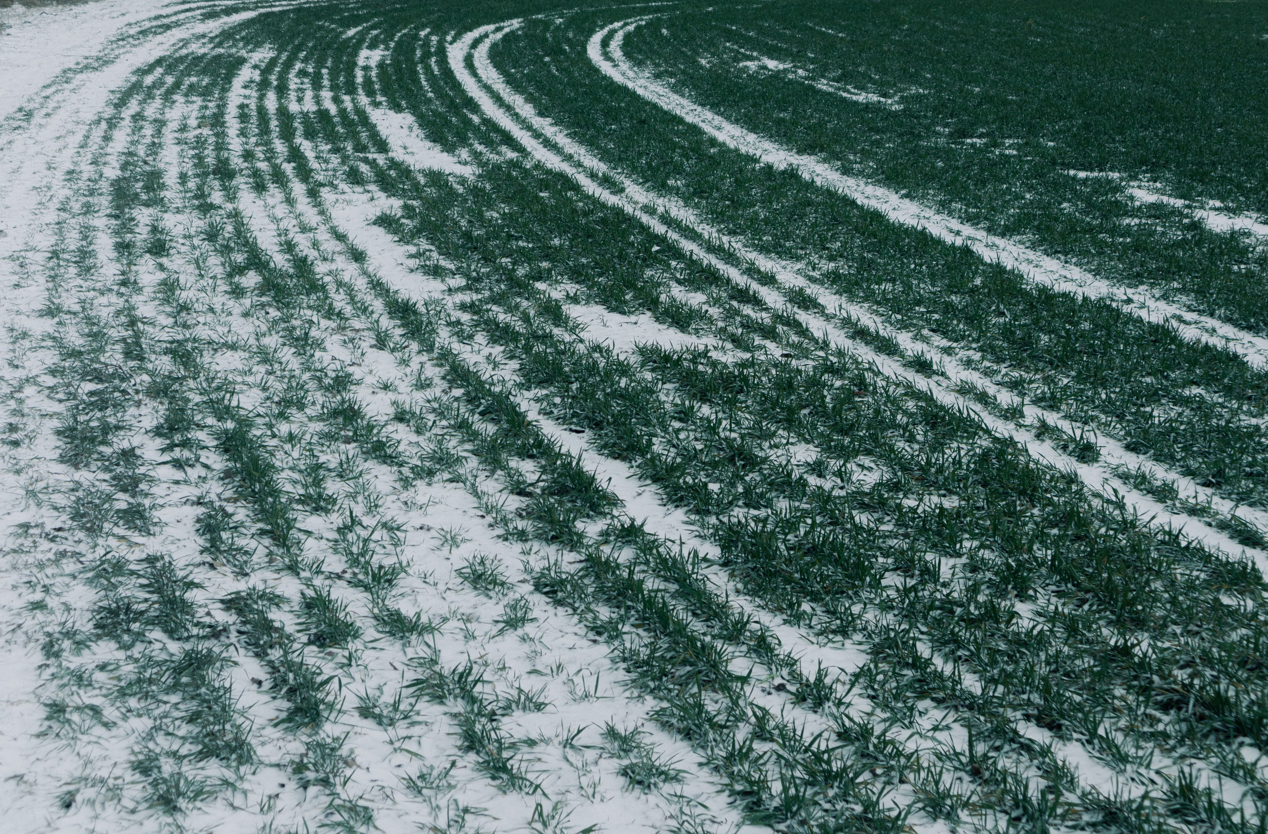 Работы вне серий — Сафонов Владислав. Сафонов Владислав, фотохудожник