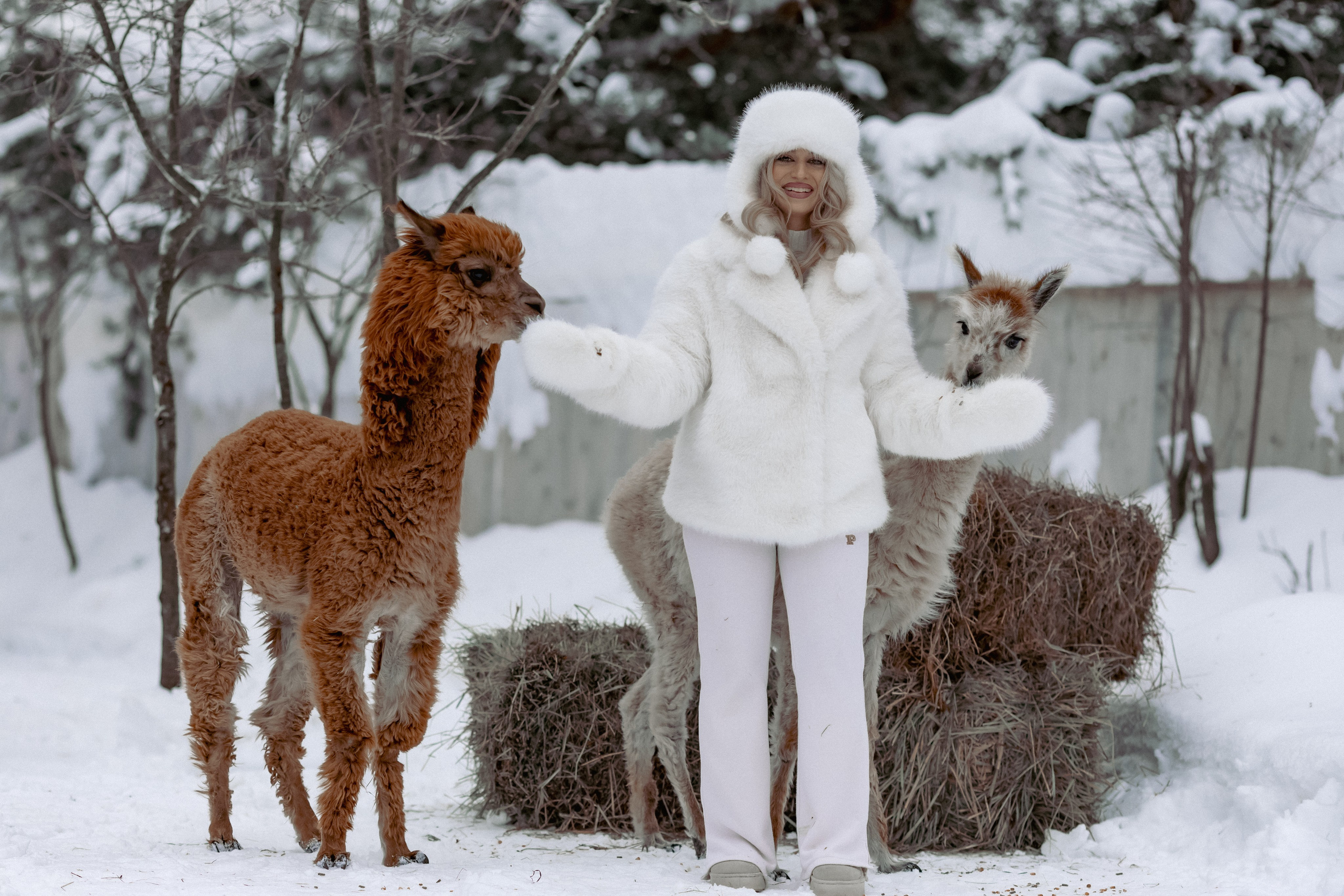 Алина. Детский и семейный фотограф Евгения Вахнеева Москва Зеленоград