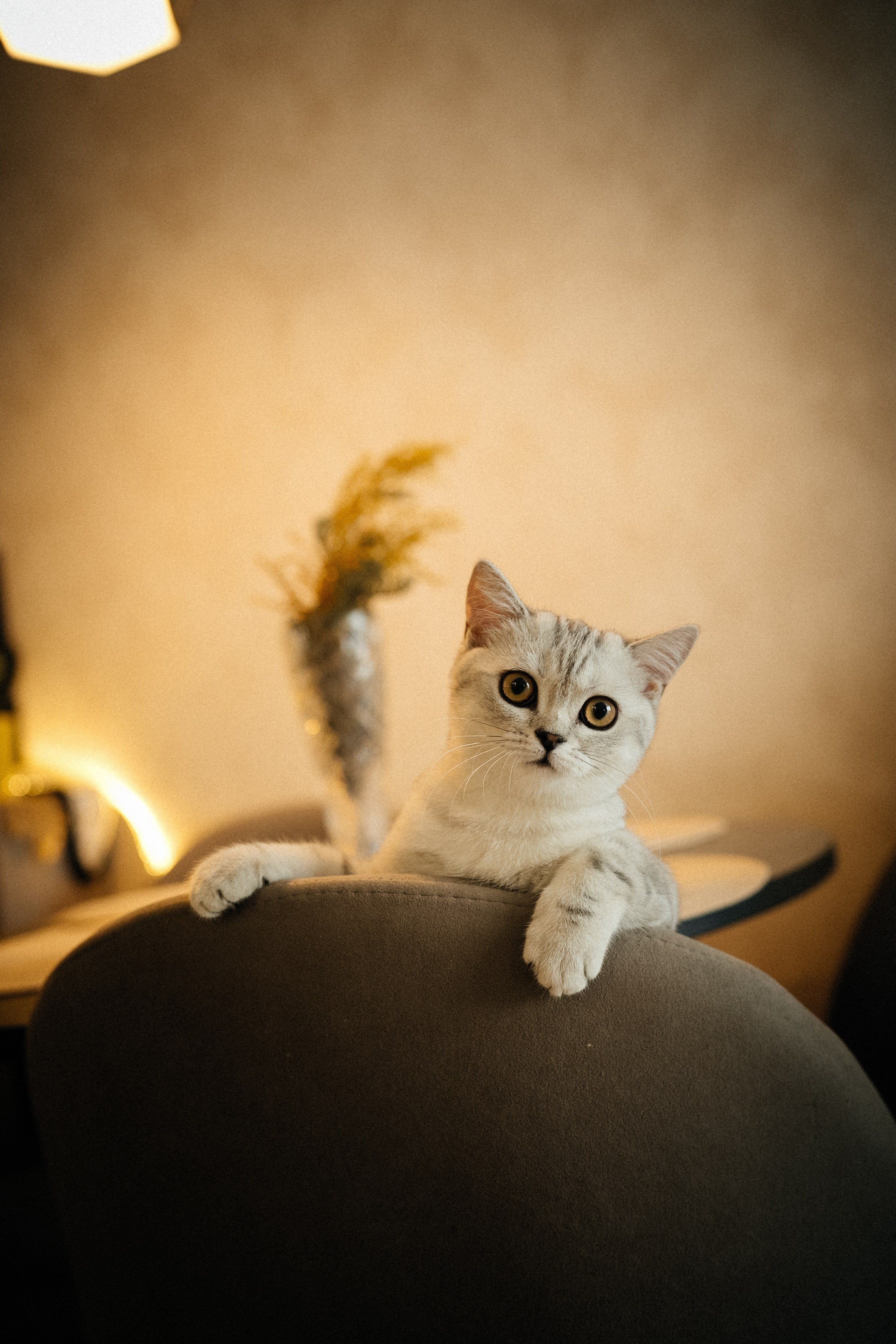 Семья Ксении и Максима. Фотограф | Юлия Арт| Обучение