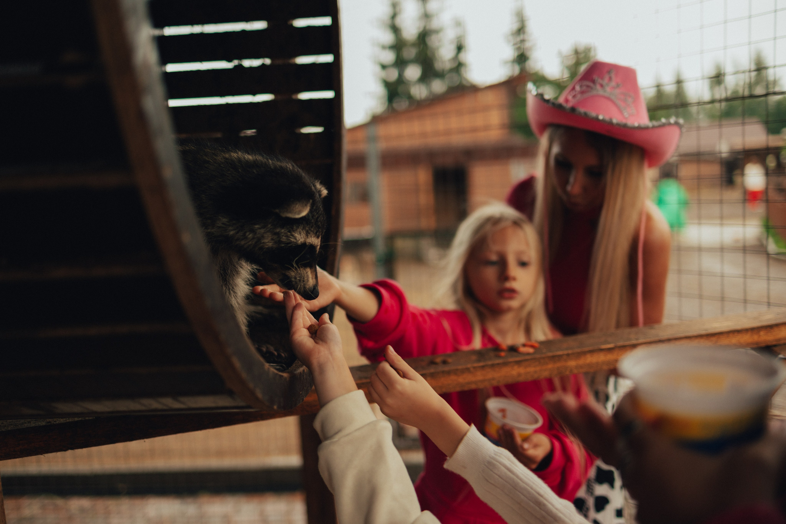 Лера 2 годика. Репортажный и портретный фотограф в Санктпетербурге. Видиосъемка мероприятий в Санкт-Петербурге
