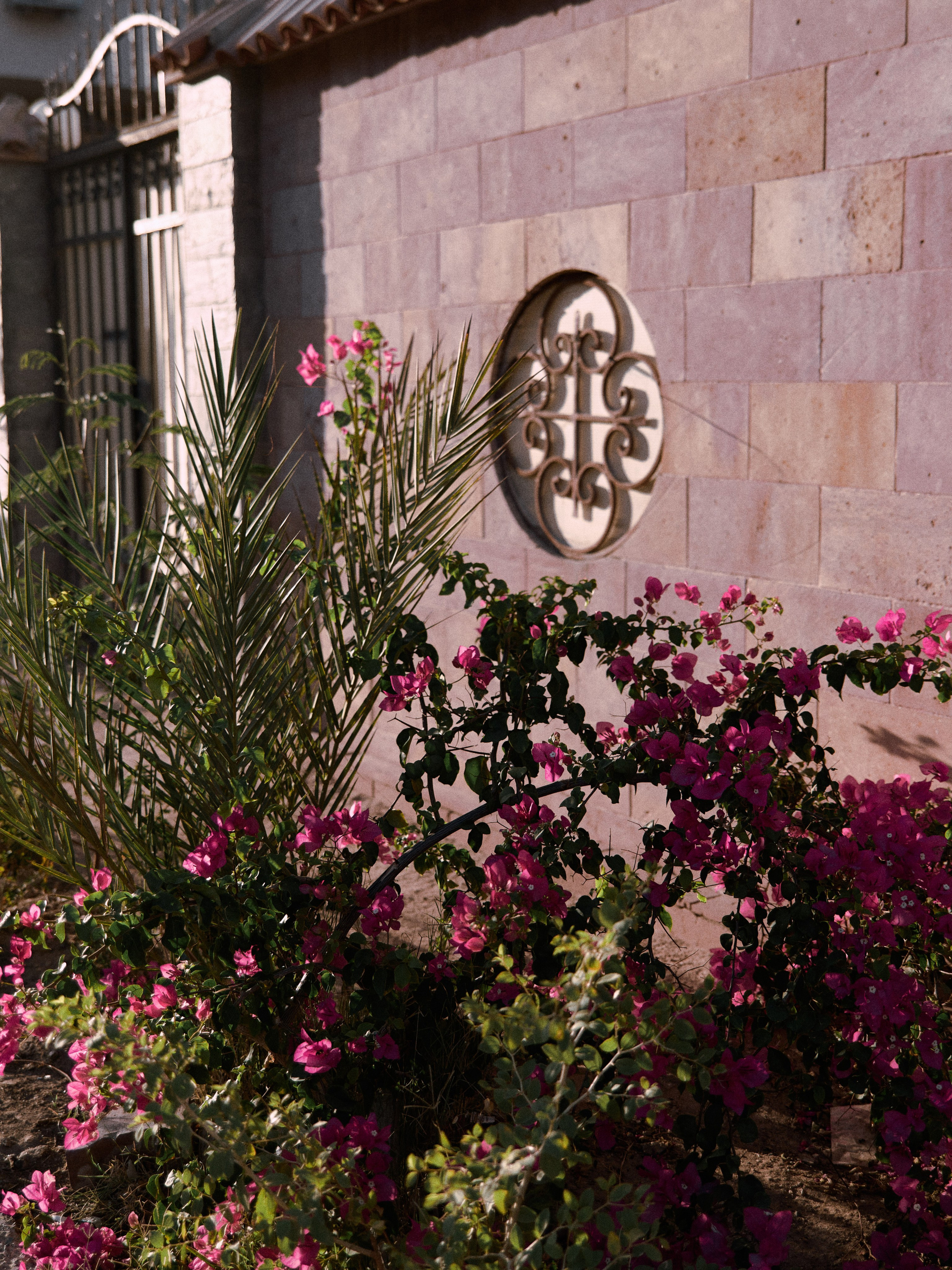 Природа сквозь. Jorgis Talè — photographer, kind person, teacher of arts and other mag