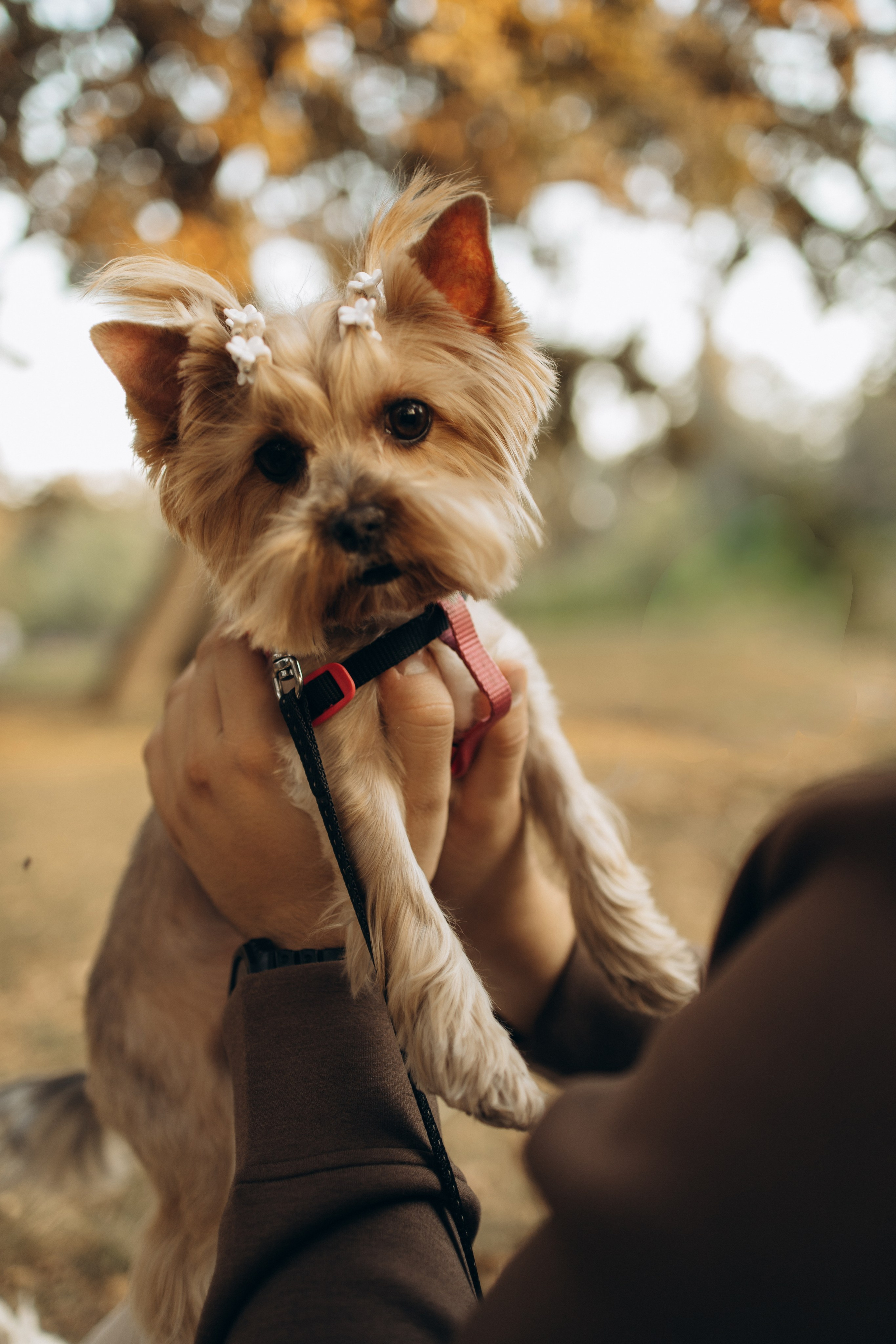 Влад и Ксюша. Самый теплый фотограф в Краснодаре Рябоконь Ксения
