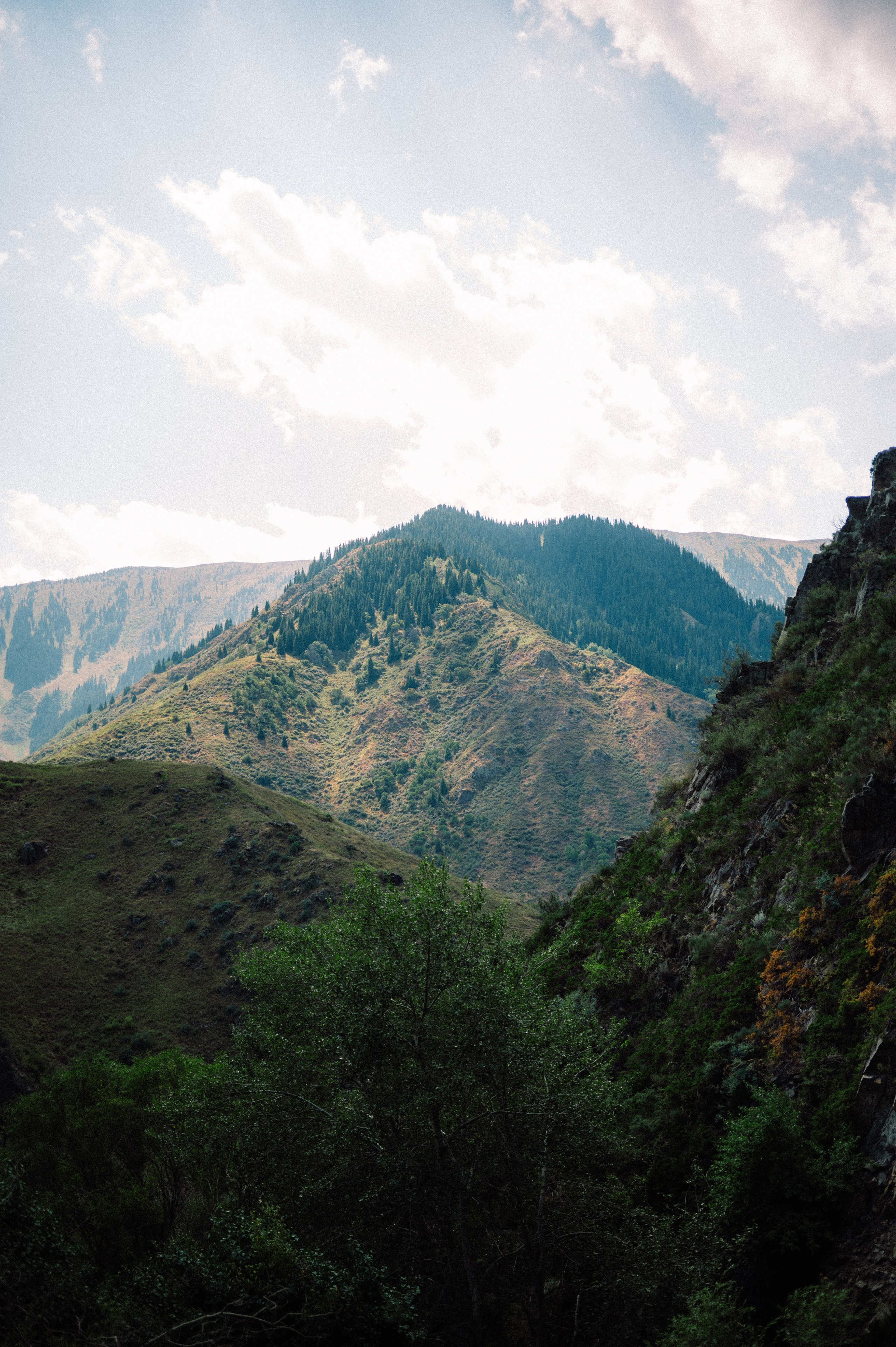 Плато Ассы: июль 2025. Фотограф в Алматы — Дарья Фёдорова