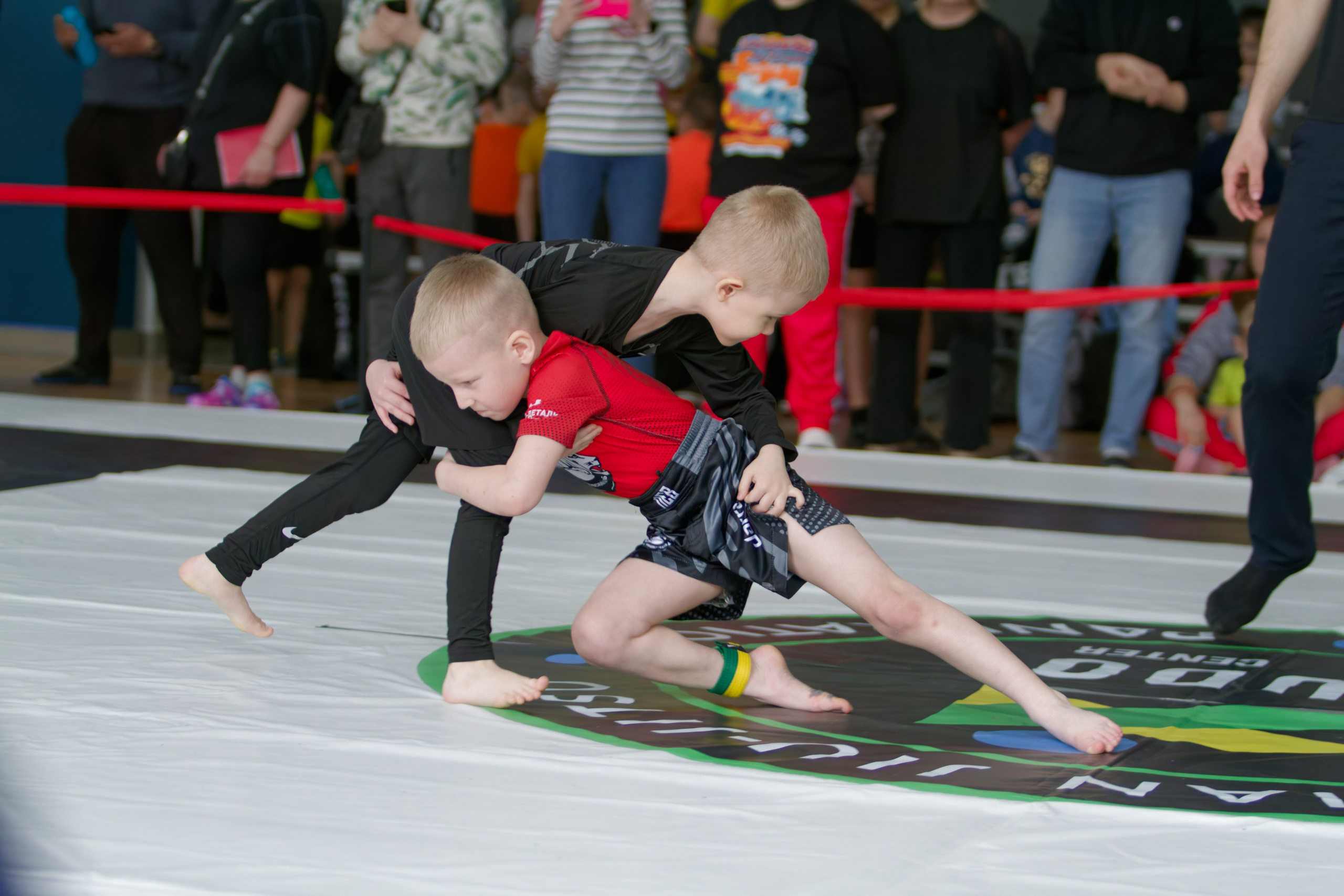 Борьба. Джиу-джитсу 26.04.2025. Репортажный и спортивный фотограф в г. Пермь Зильберг Павел