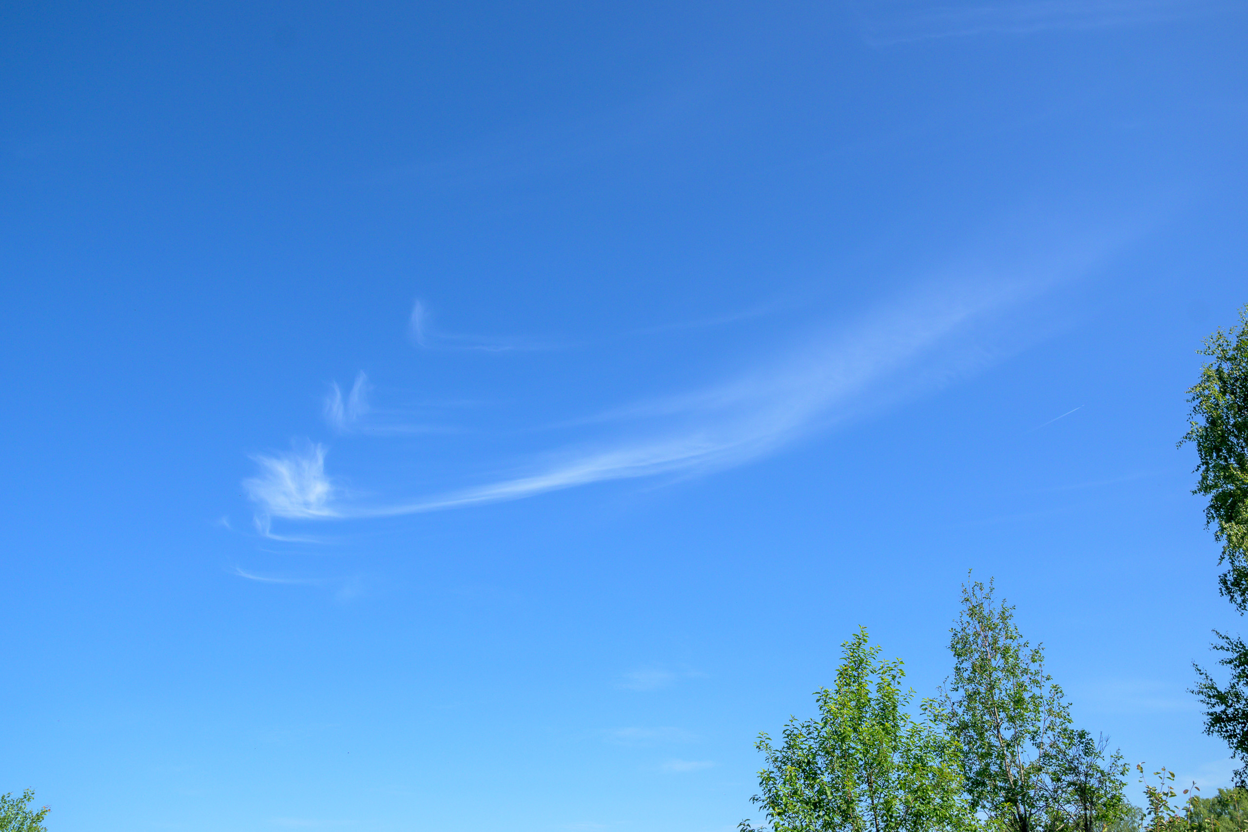 Nikon Z 50 + AF-S DX Nikkor 16-85mm f/3.5-5.6G ED VR. Примеры RAW файлов