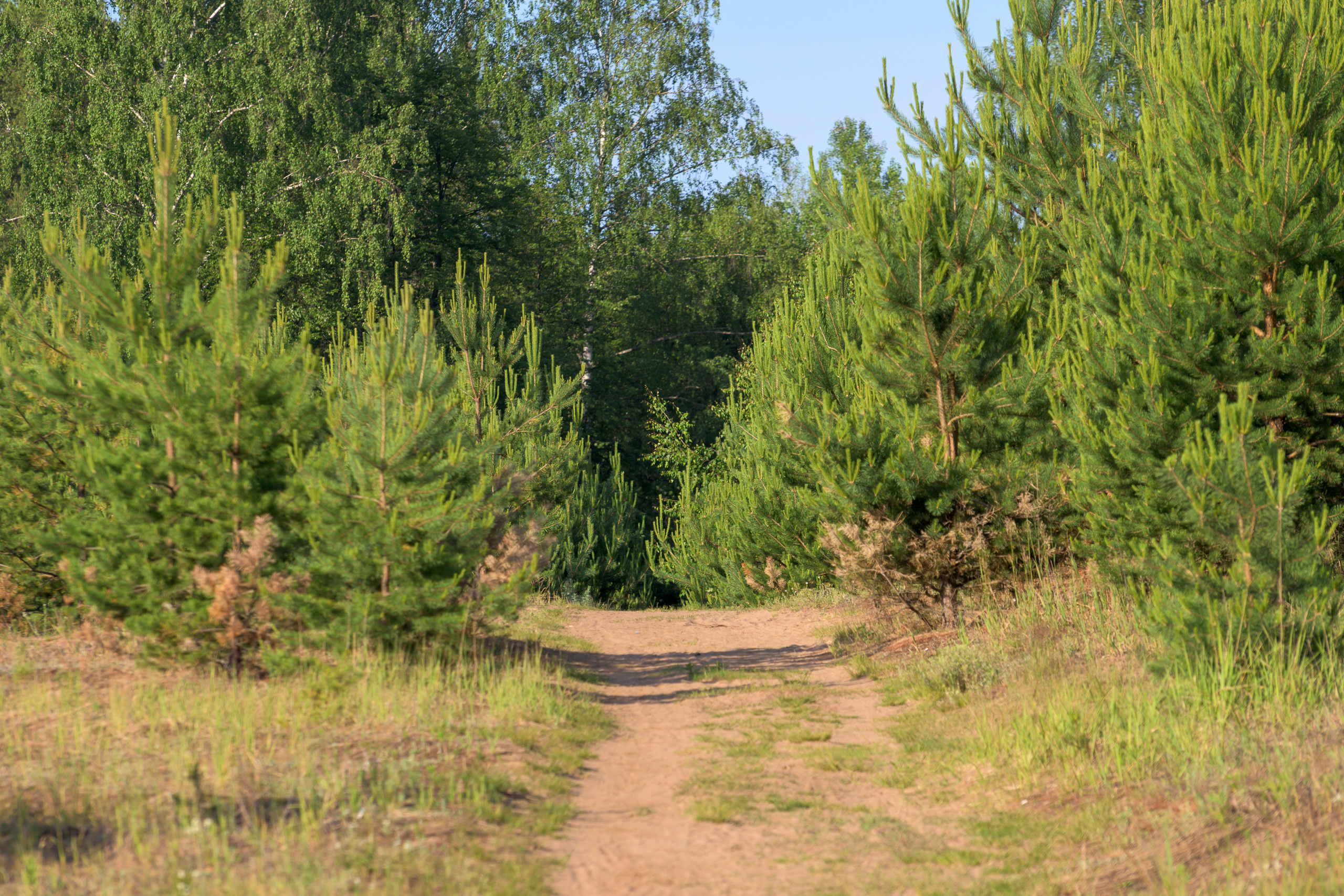 Nikon Z 50 + AF-S VR Zoom-Nikkor 70-300mm f4.5-5.6G IF-ED. Examples of RAW files