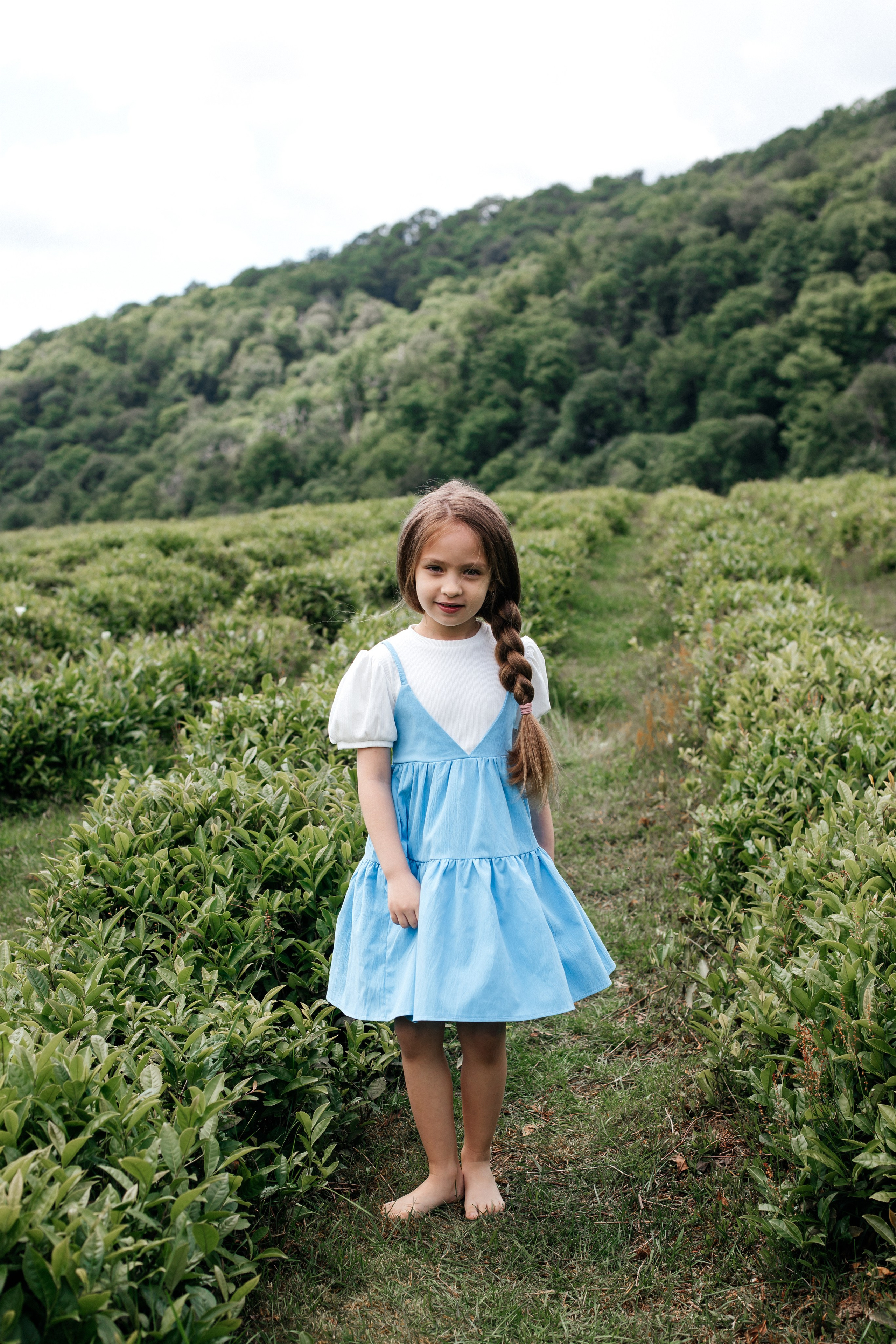 Tea plantation. Efimova Model Agency