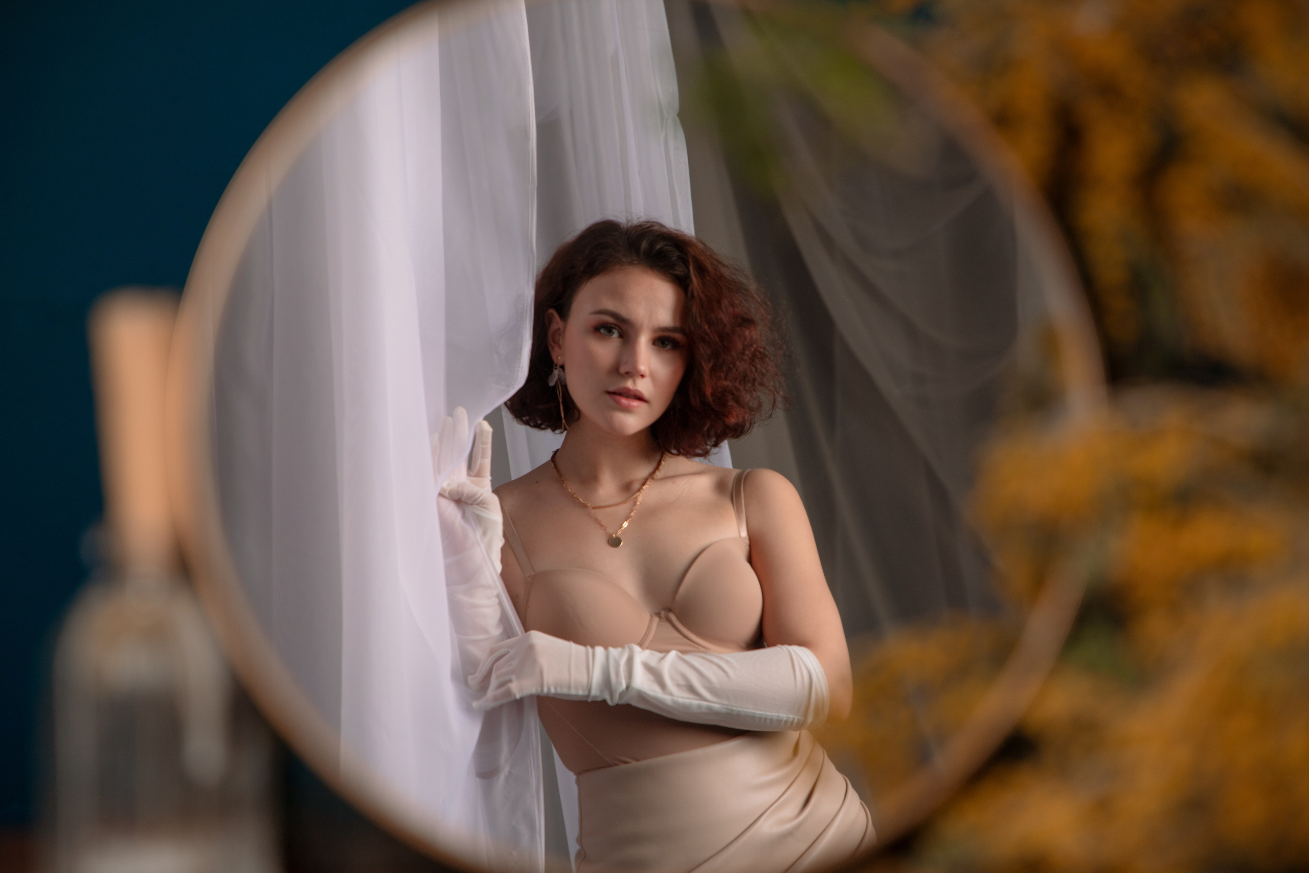 Мимозы. Фотограф Алексей Шуля — портфолио