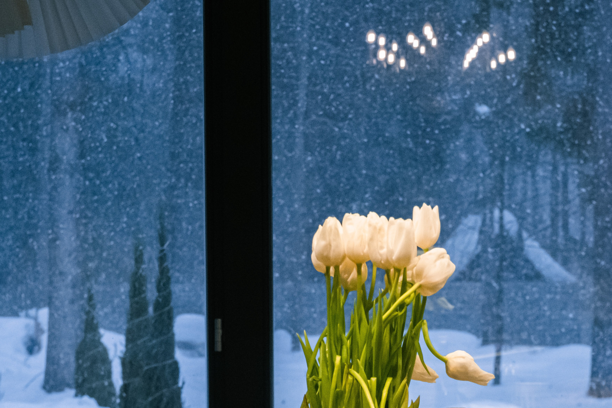 Семён и Алина. Мария Сигина-Лавданская