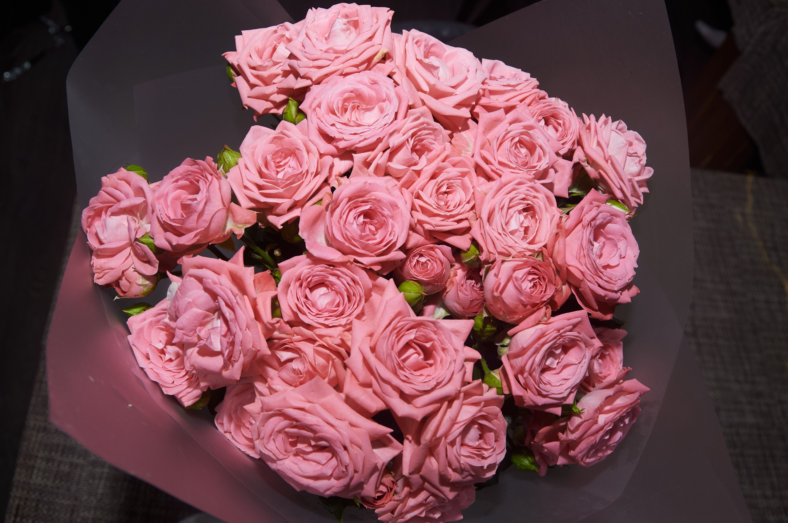 Репортаж ваших праздников. Семейный и Свадебный фотограф