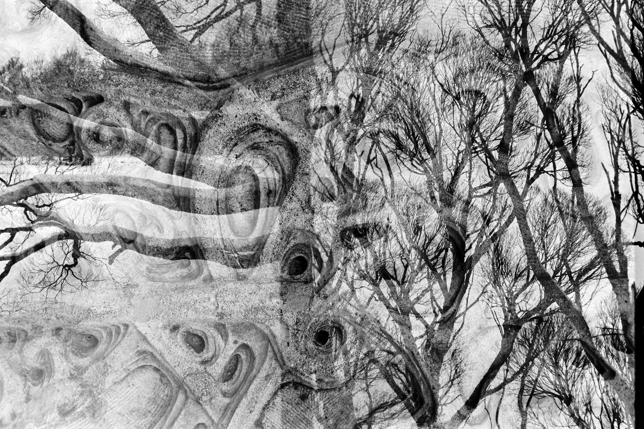 Alien. Andrey Akimov Photography