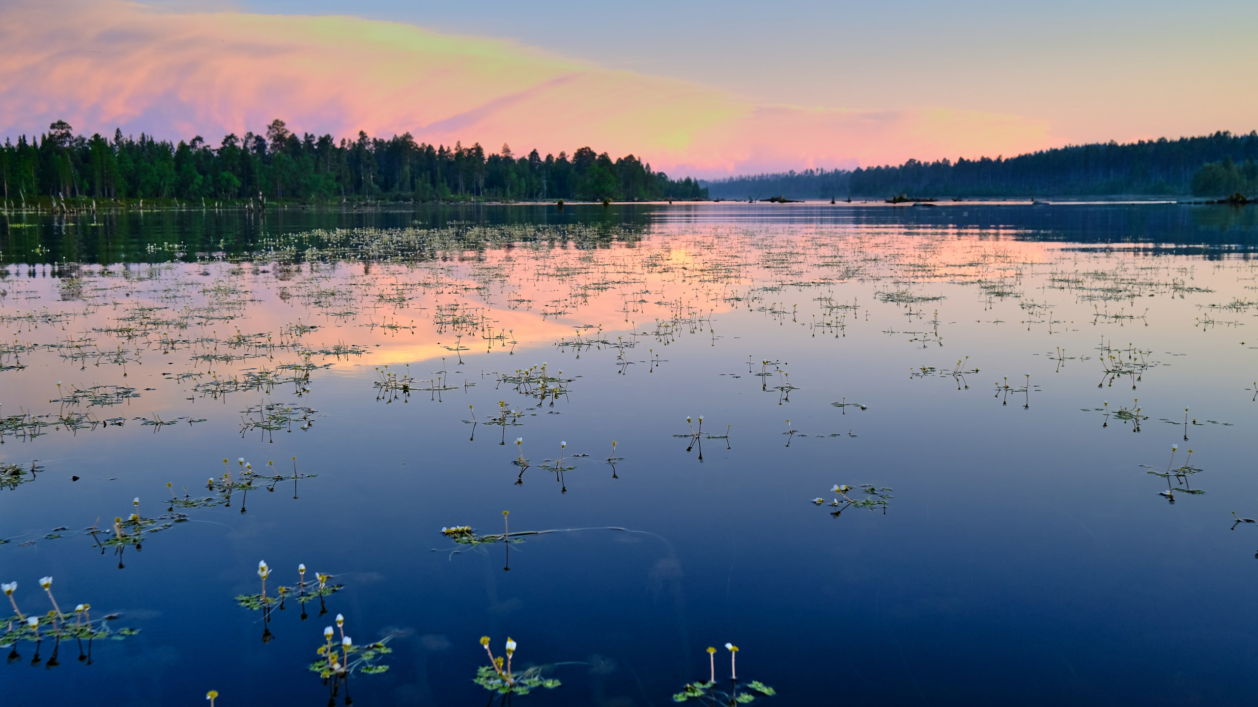 Река Паз. Пейзажи Крайнего Севера. Баренцево море, Рыбачий, Средний, Немецкий