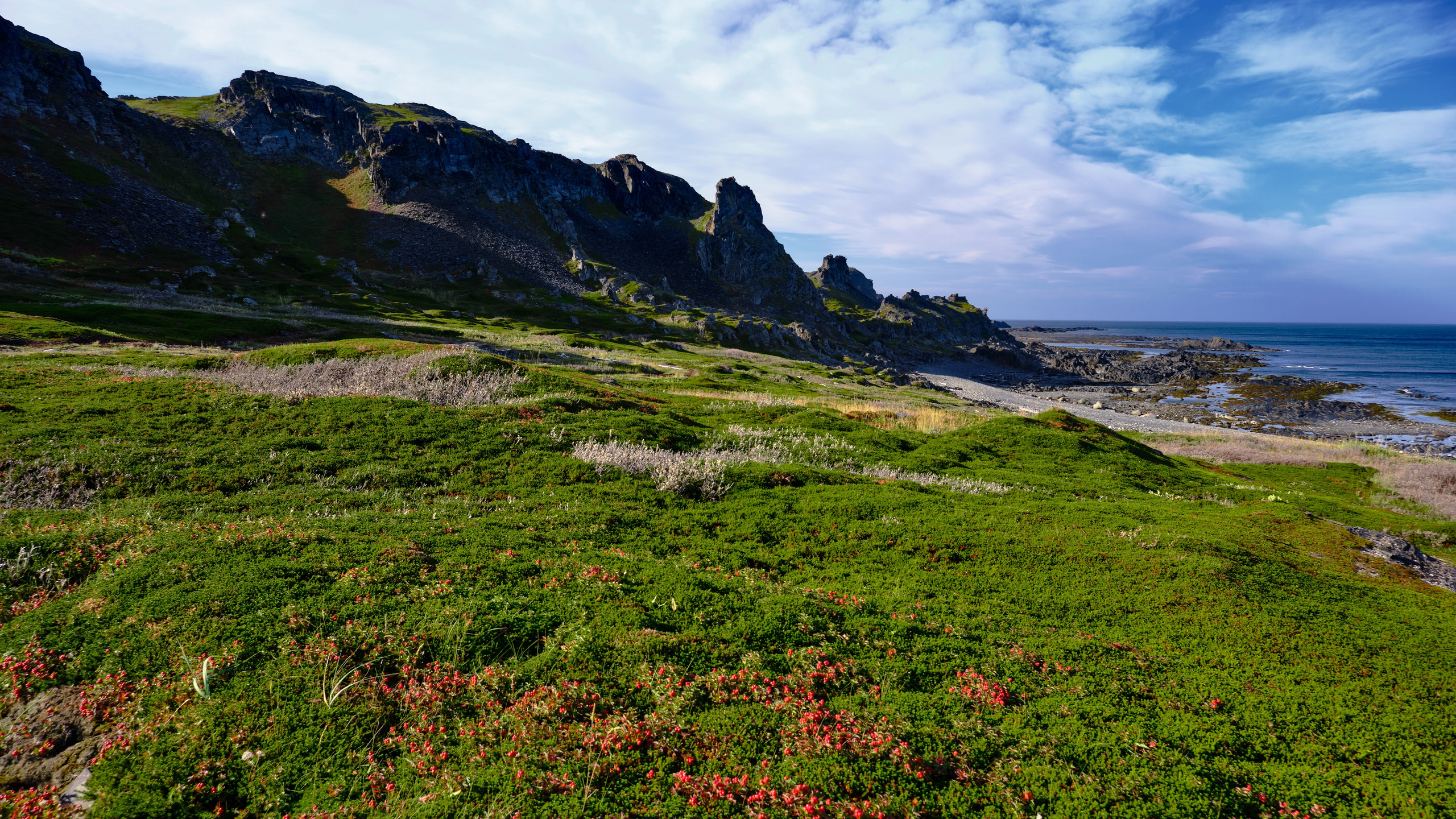Полуостров Рыбачий. Пейзажи Крайнего Севера. Баренцево море, Рыбачий, Средний, Немецкий