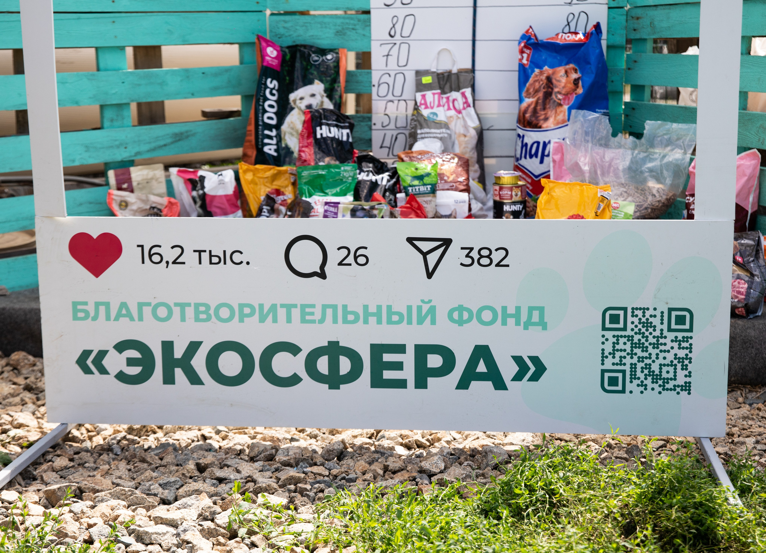 Приют — Наш дом. Репортажный и свадебный фотограф в Челябинске Елисеев Павел