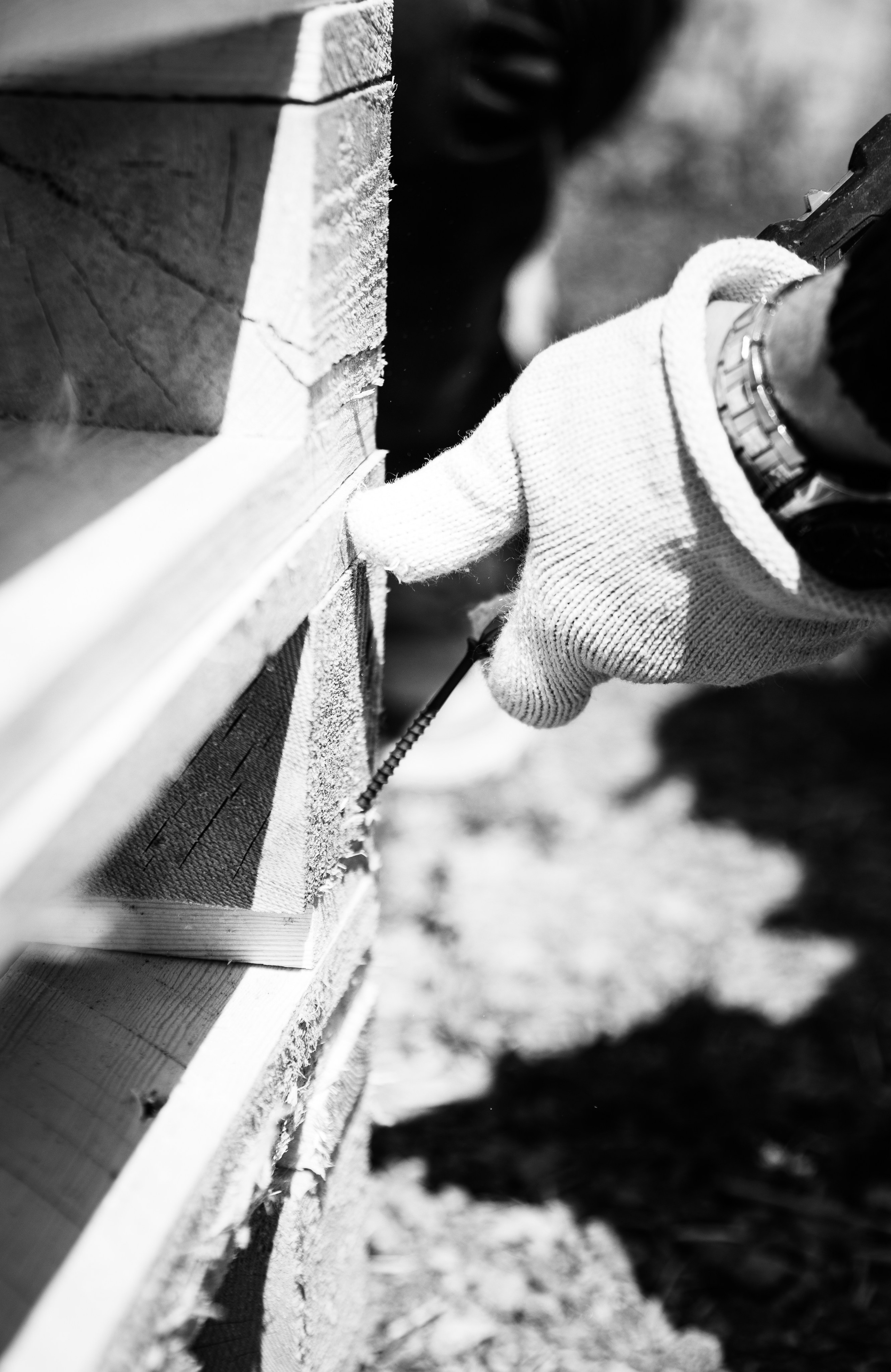 Приют — Наш дом. Репортажный и свадебный фотограф в Челябинске Елисеев Павел