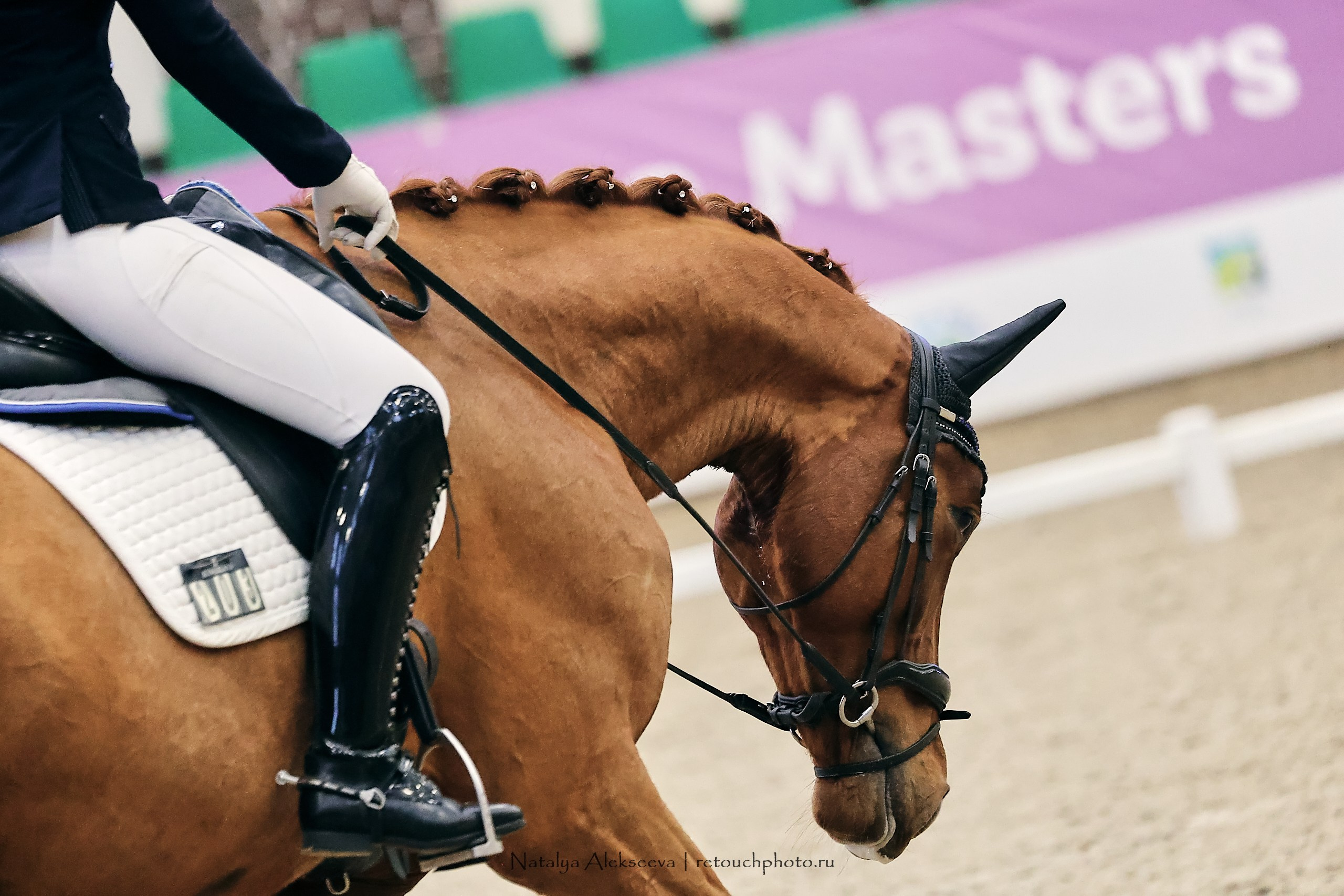 Maxima Masters Eurasia по выездке, Maxima Stables | 12'2023. Репортажный фотограф и ретушер в Москве Наталья Алексеева