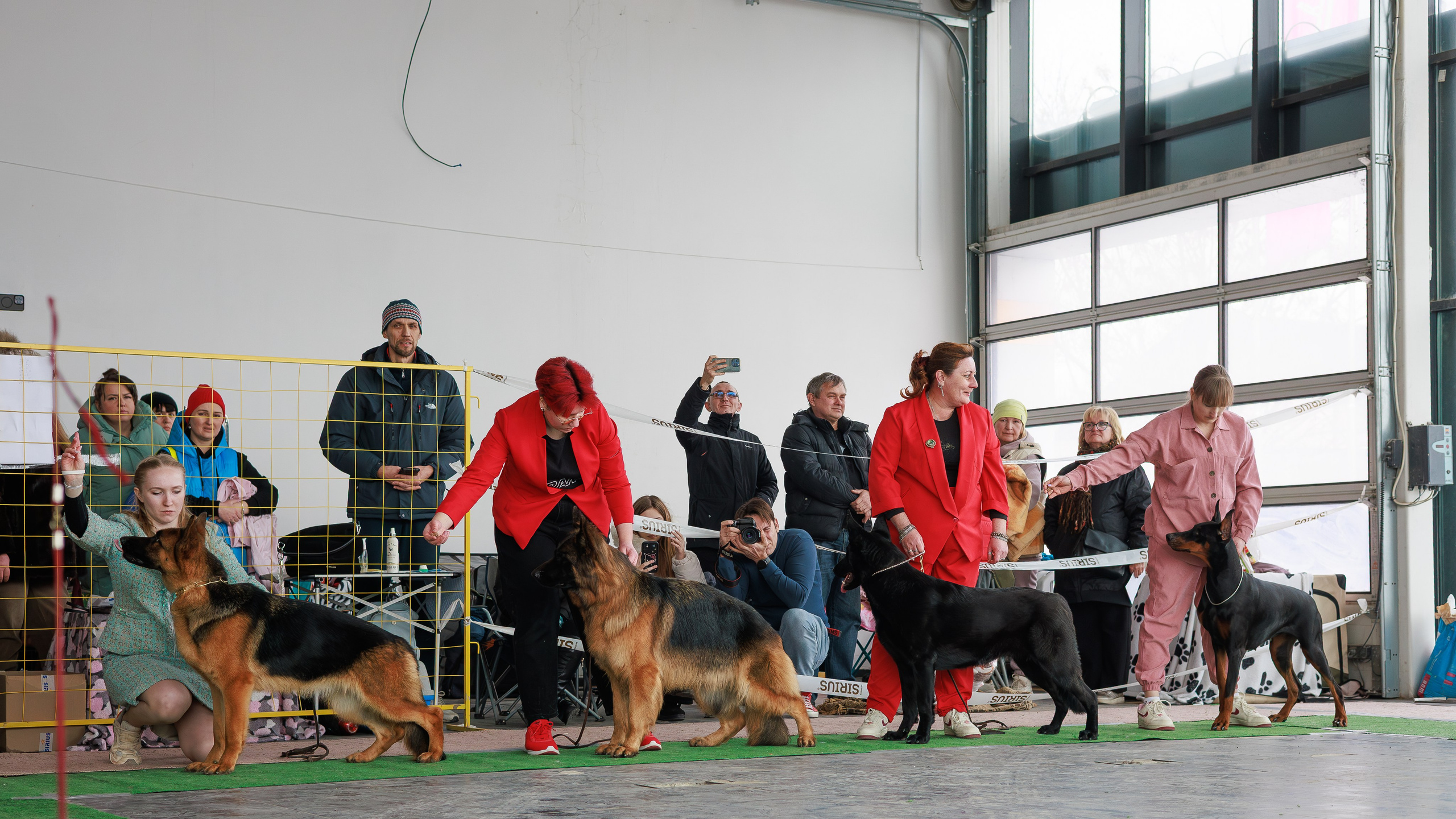 Выставки. Фотограф Марк Файзулин