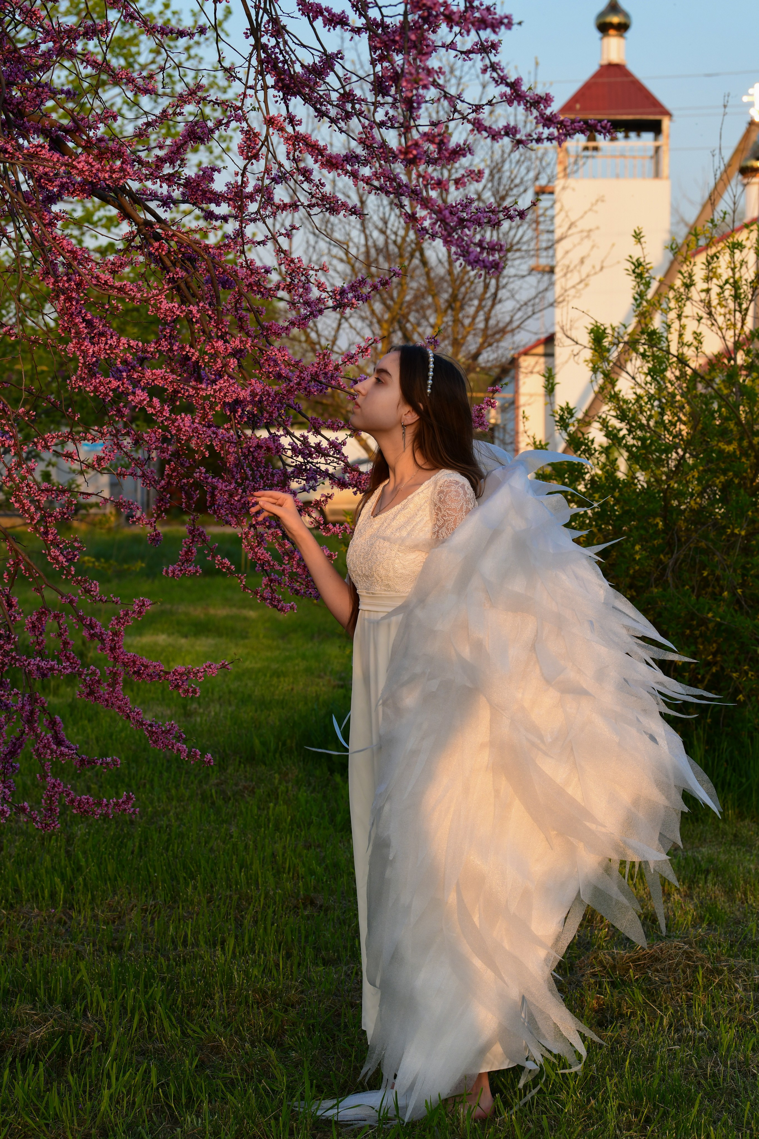 Крылатые истории. Главная