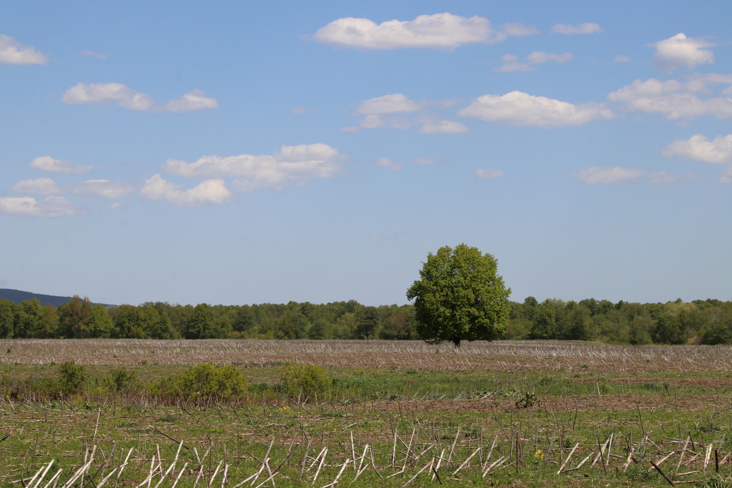 Велопоход Уфа — Мелеуз. Май 2024. Путешественник-фотограф из Санкт-Петербурга Татьяна Свистулина