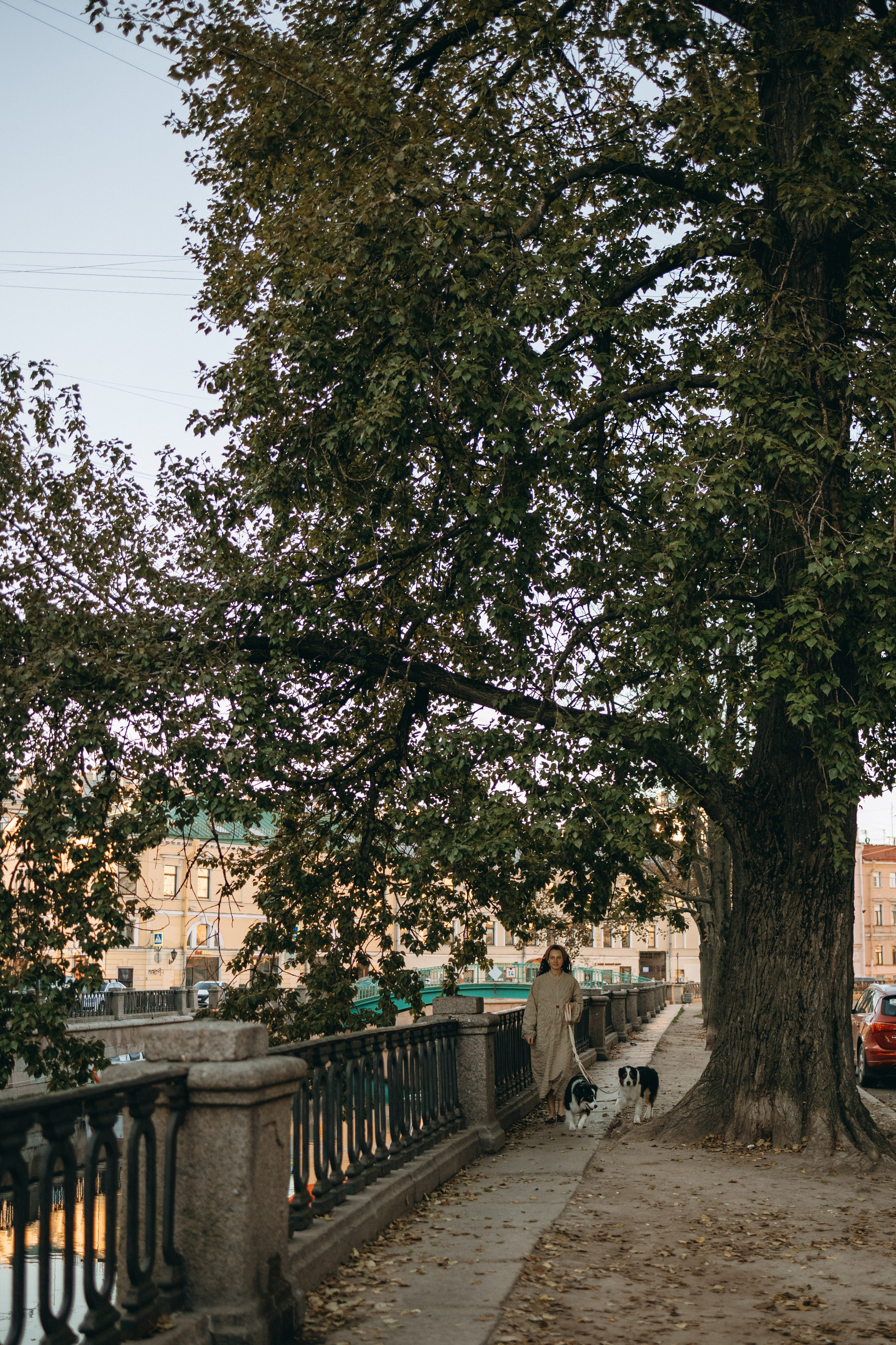 Катя и ее девочки. Фотограф — Анималист | Санкт-Петербург