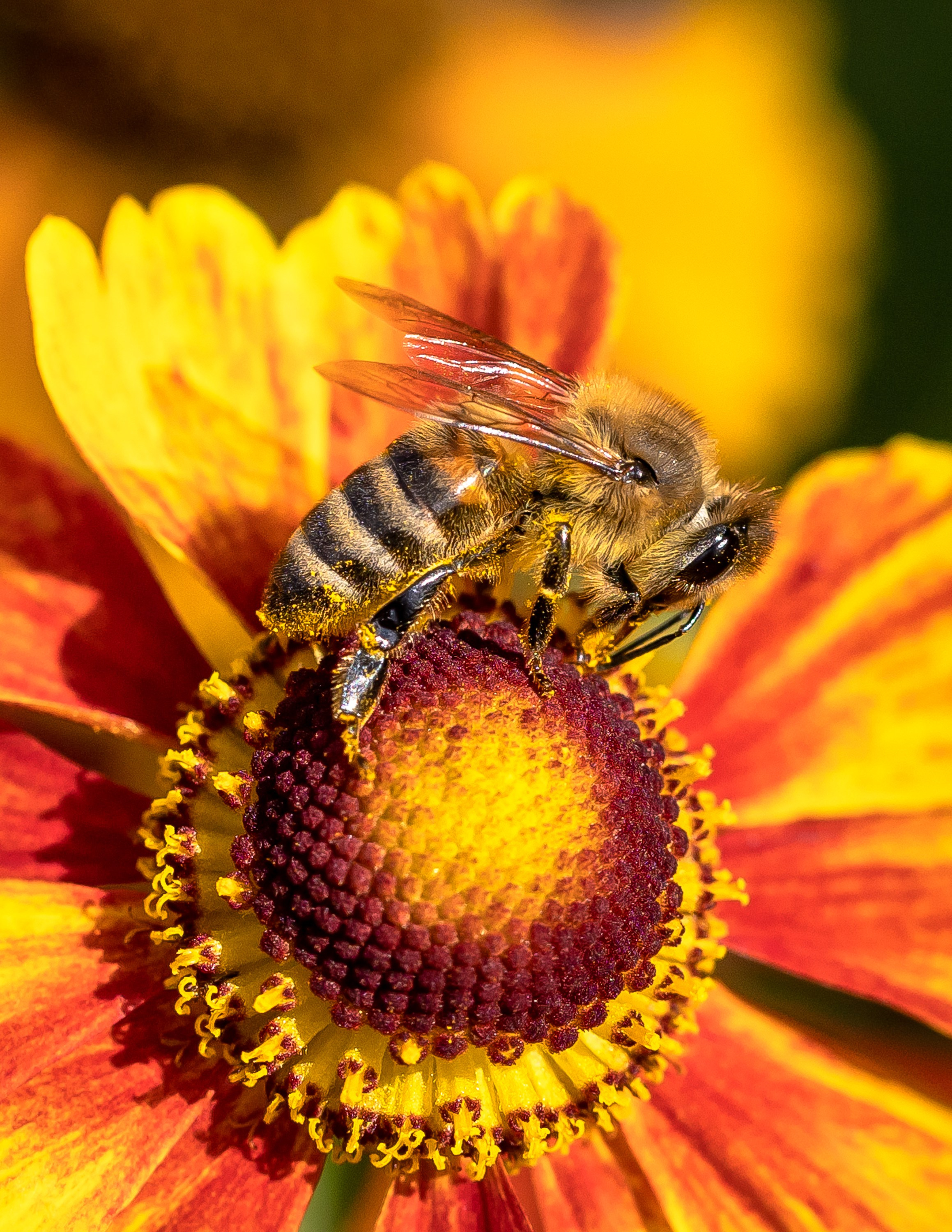 Животные. Фотограф Владимир Охрименко