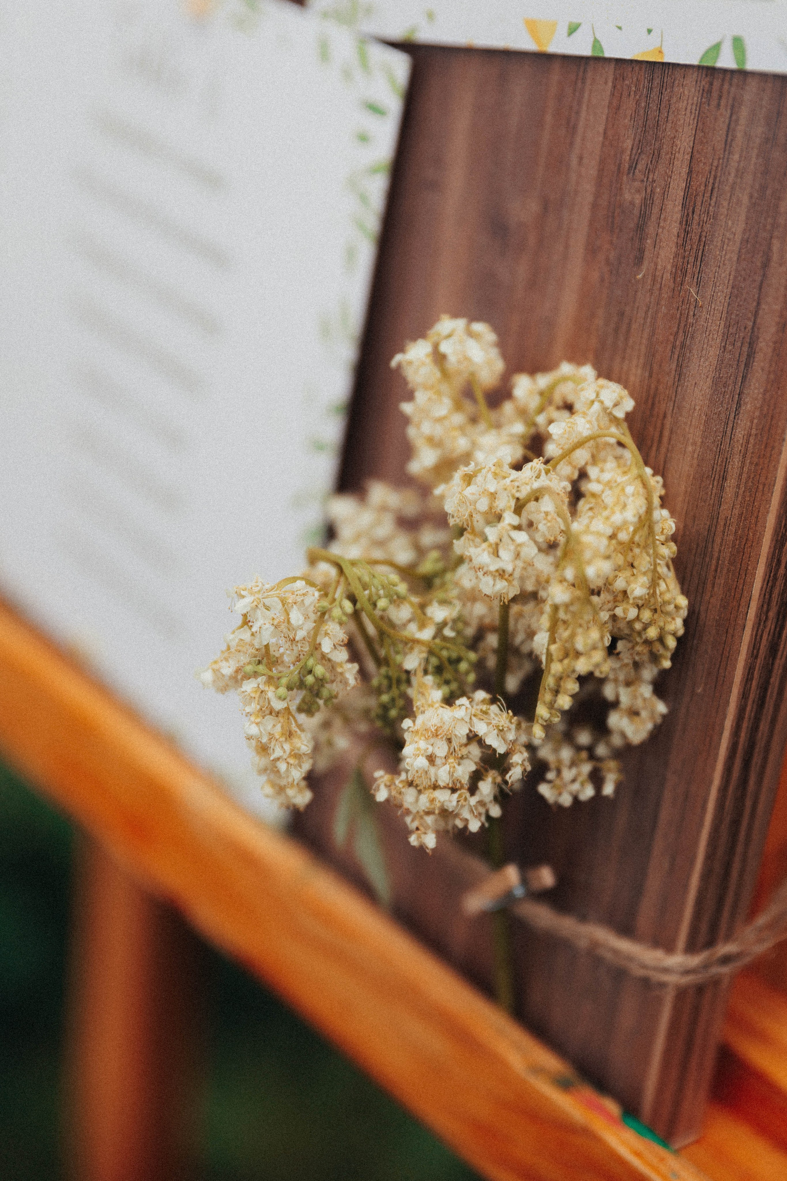 Алёна&Данил. Фотограф ЕКБ