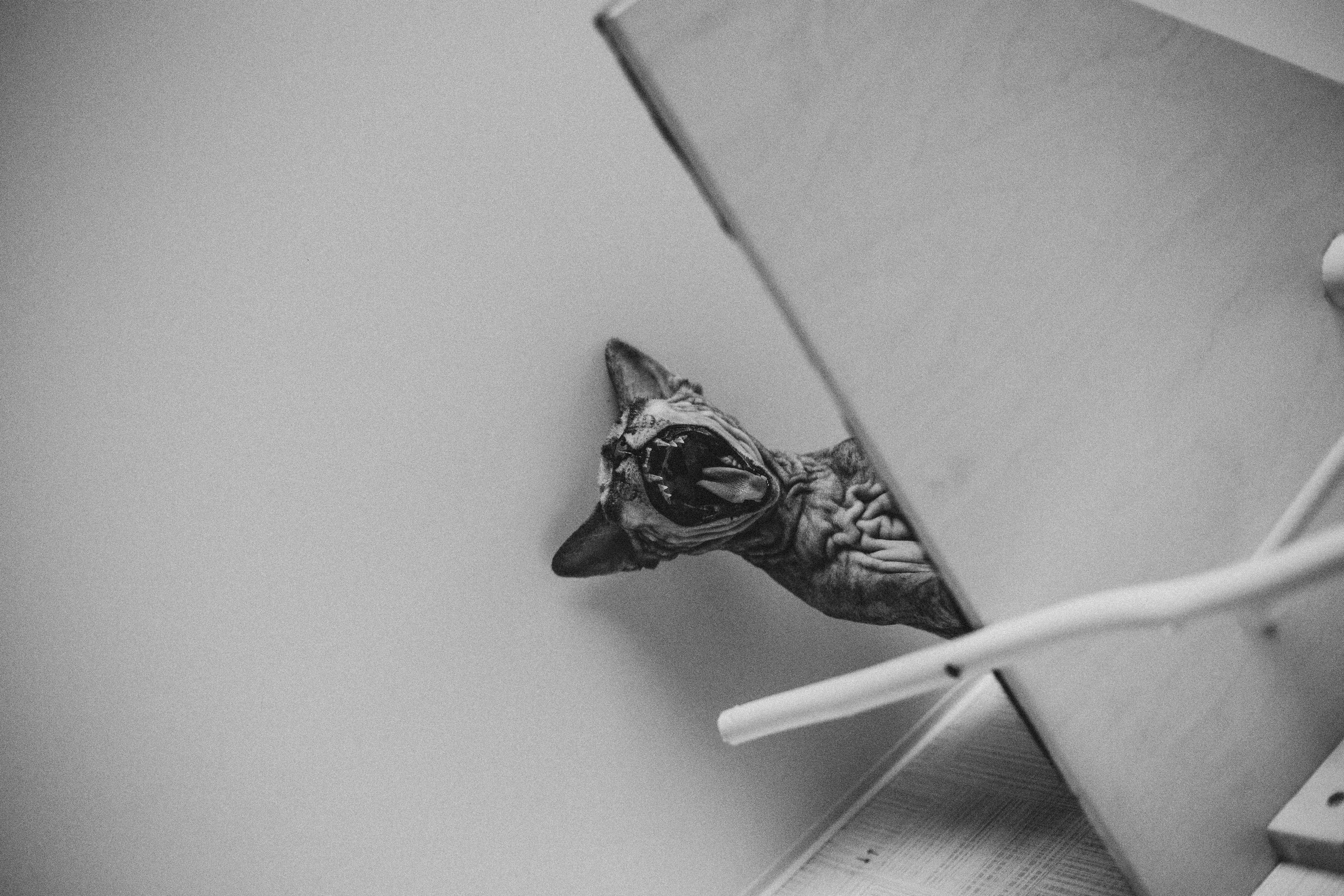 Домашние посиделки. Семейный фотограф Виктория Потехина Москва