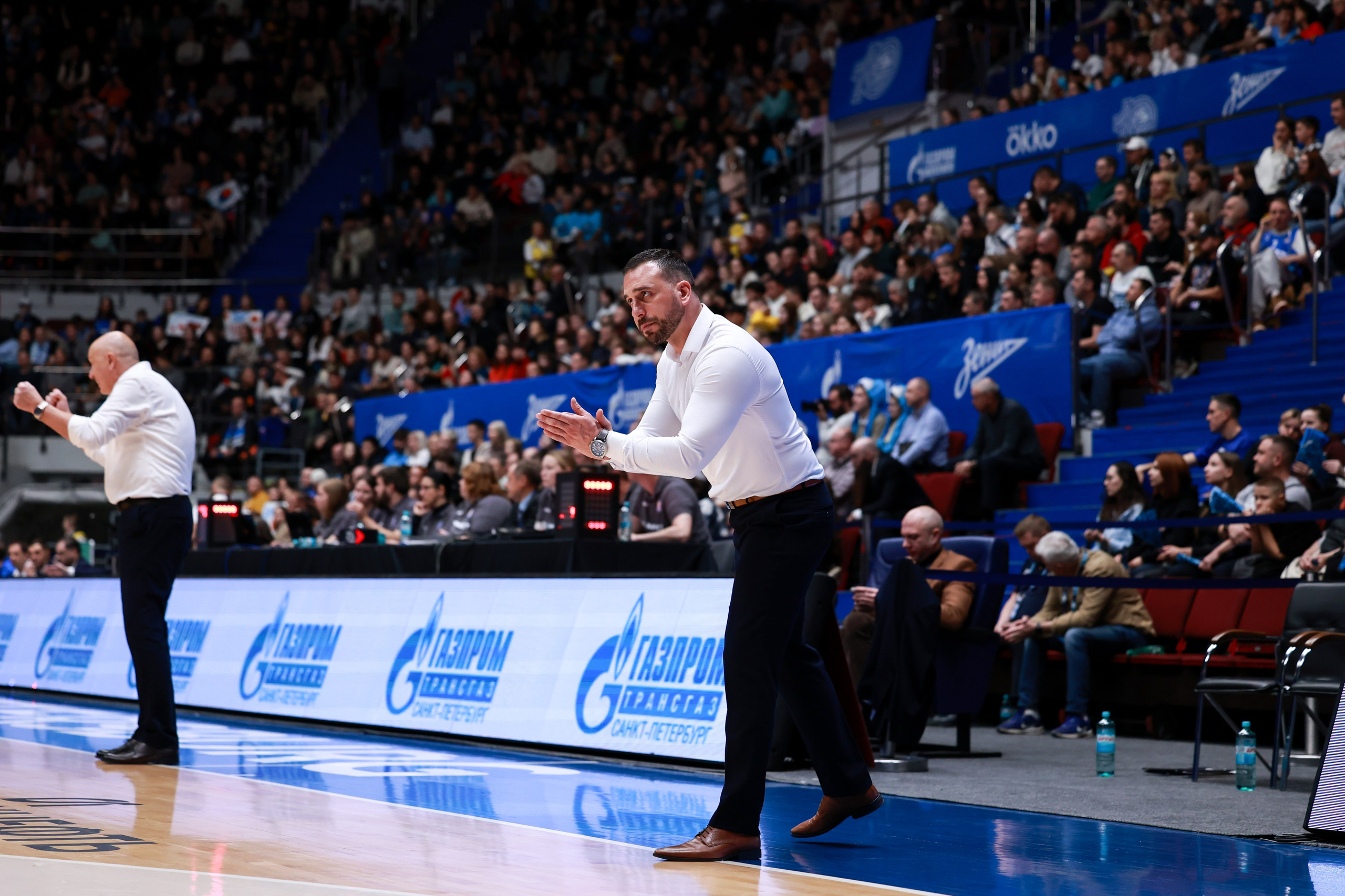 БК Зенит — БК Самара 30.10.2024. Спортивный и репортажный фотограф Антон Тереханов