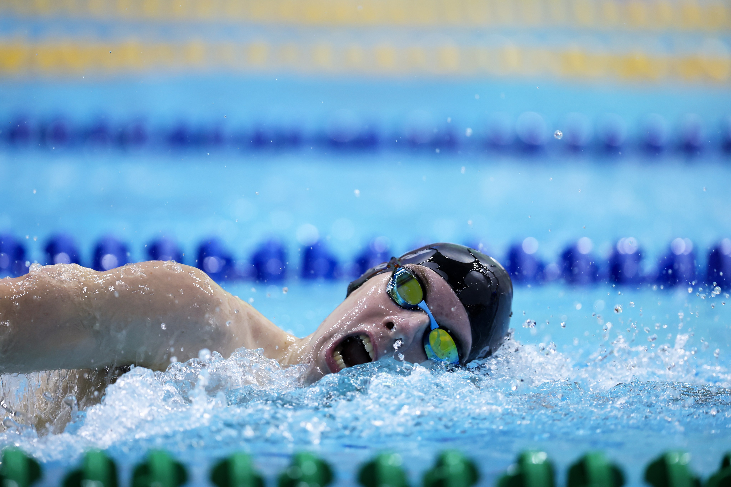 Чемпионат России по плаванию 25 м 21-26.11.2024. Спортивный и репортажный фотограф Антон Тереханов