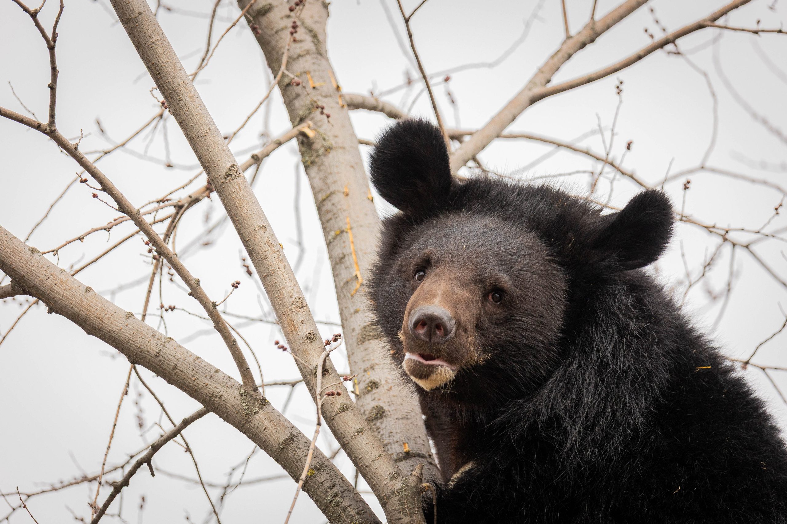 Парк Малинки 2026. Фотограф-АниМалист Анна Абрамова