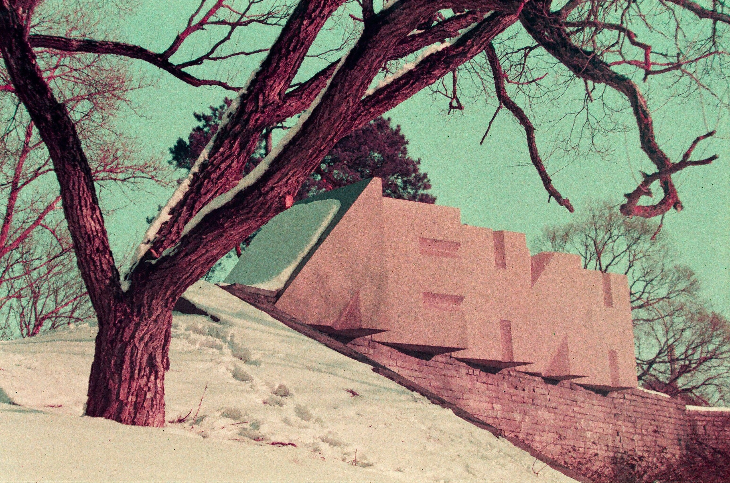 1989. Фотограф — Маслеников Константин