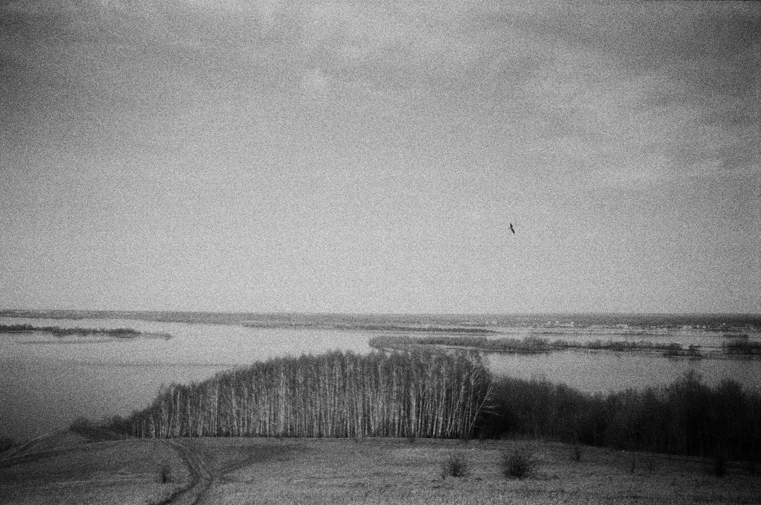 Натура. Фотограф — Маслеников Константин