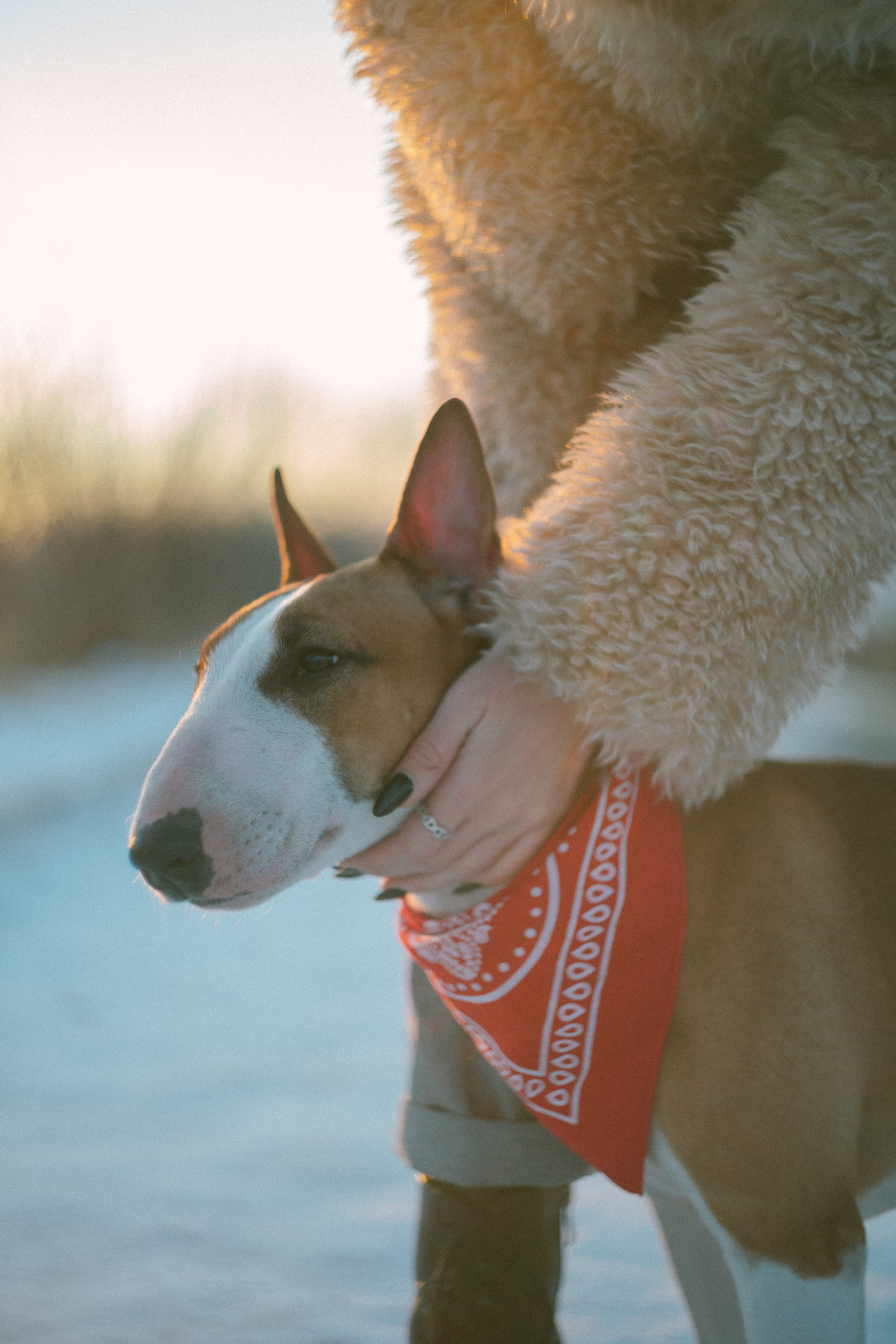 Булка. Евгения Арефьева — свадебный и портретный фотограф в Чите