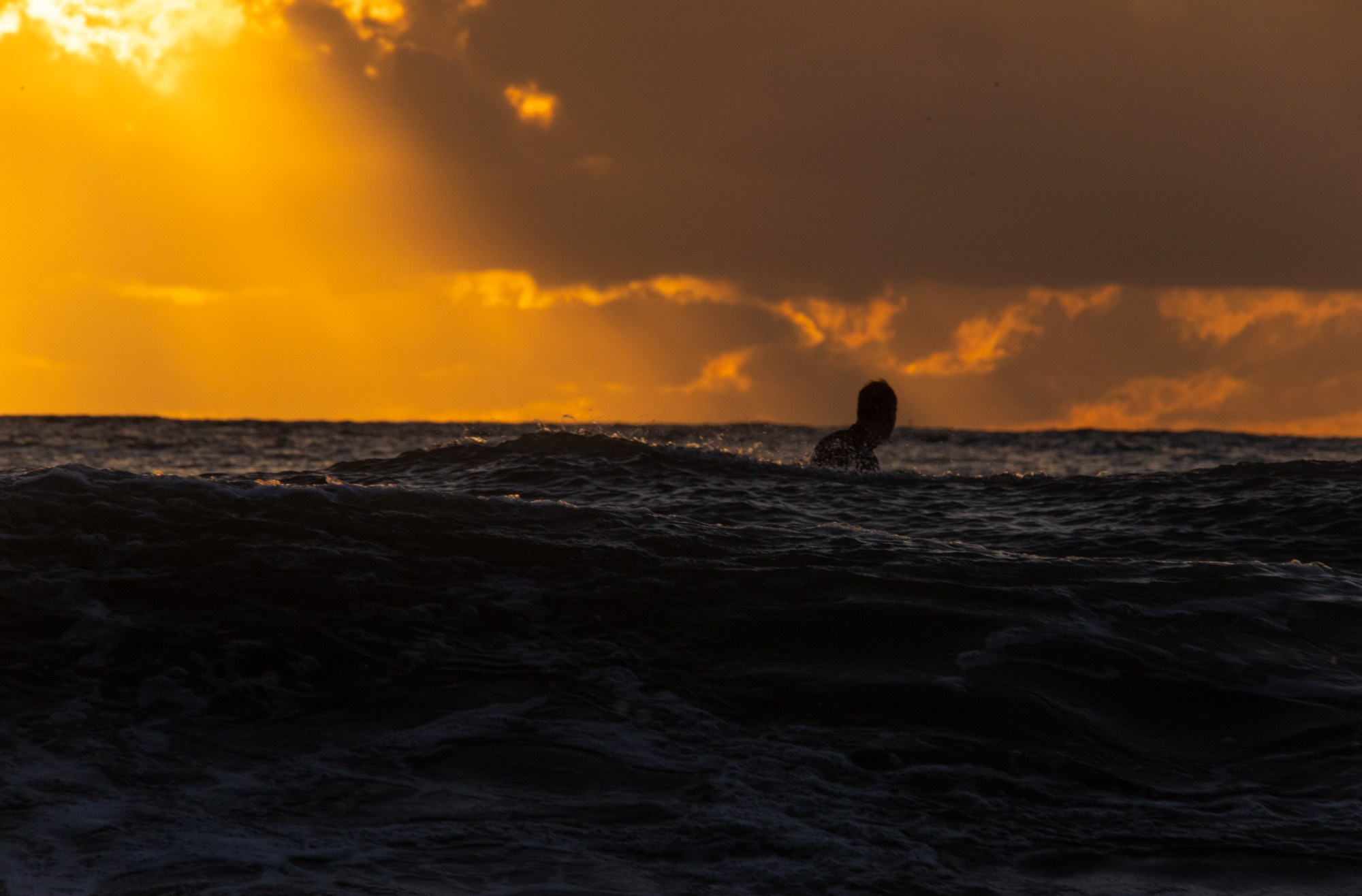 Море и серферы. Репортажный и постановочный Наталья Санникова