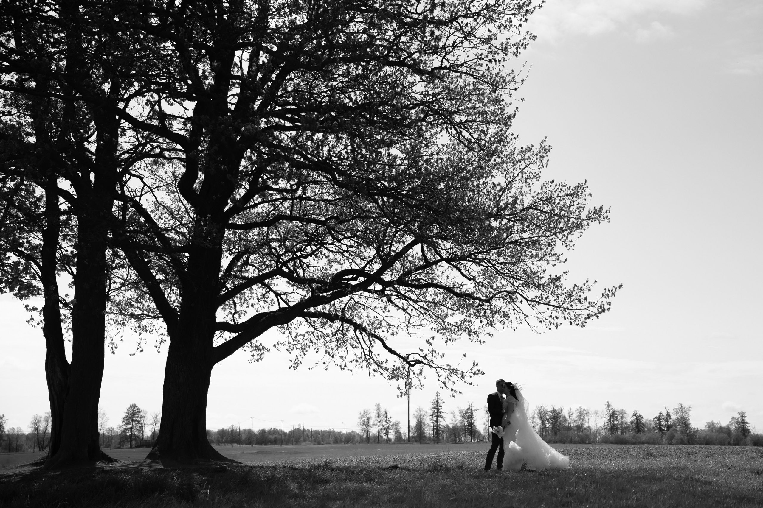 Однажды в сказке. Свадебный и семейный фотограф Арина Кулёва