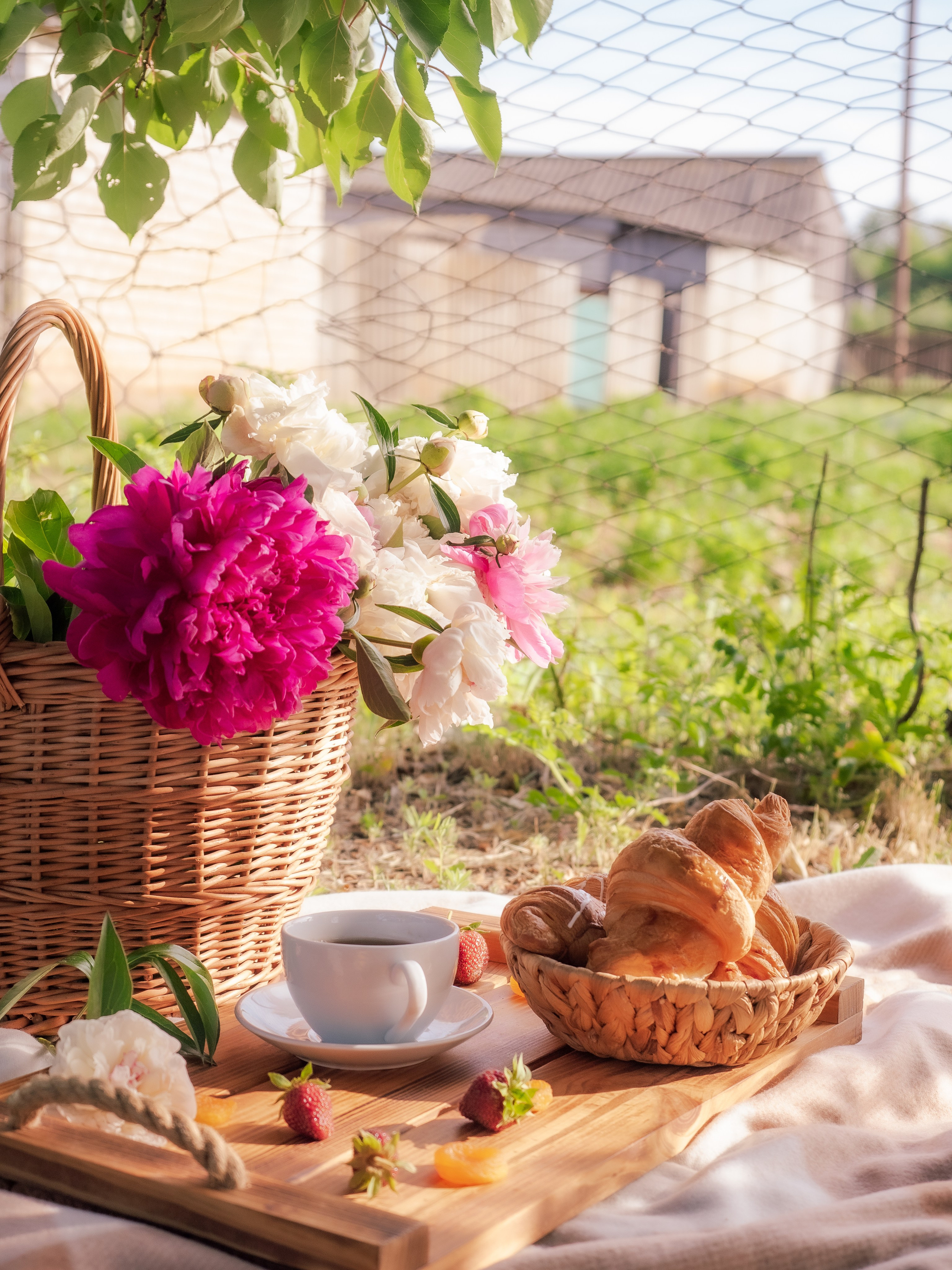 Индивидуальная съёмка. Семейный фотограф в Марксе Светлана Шибаршина