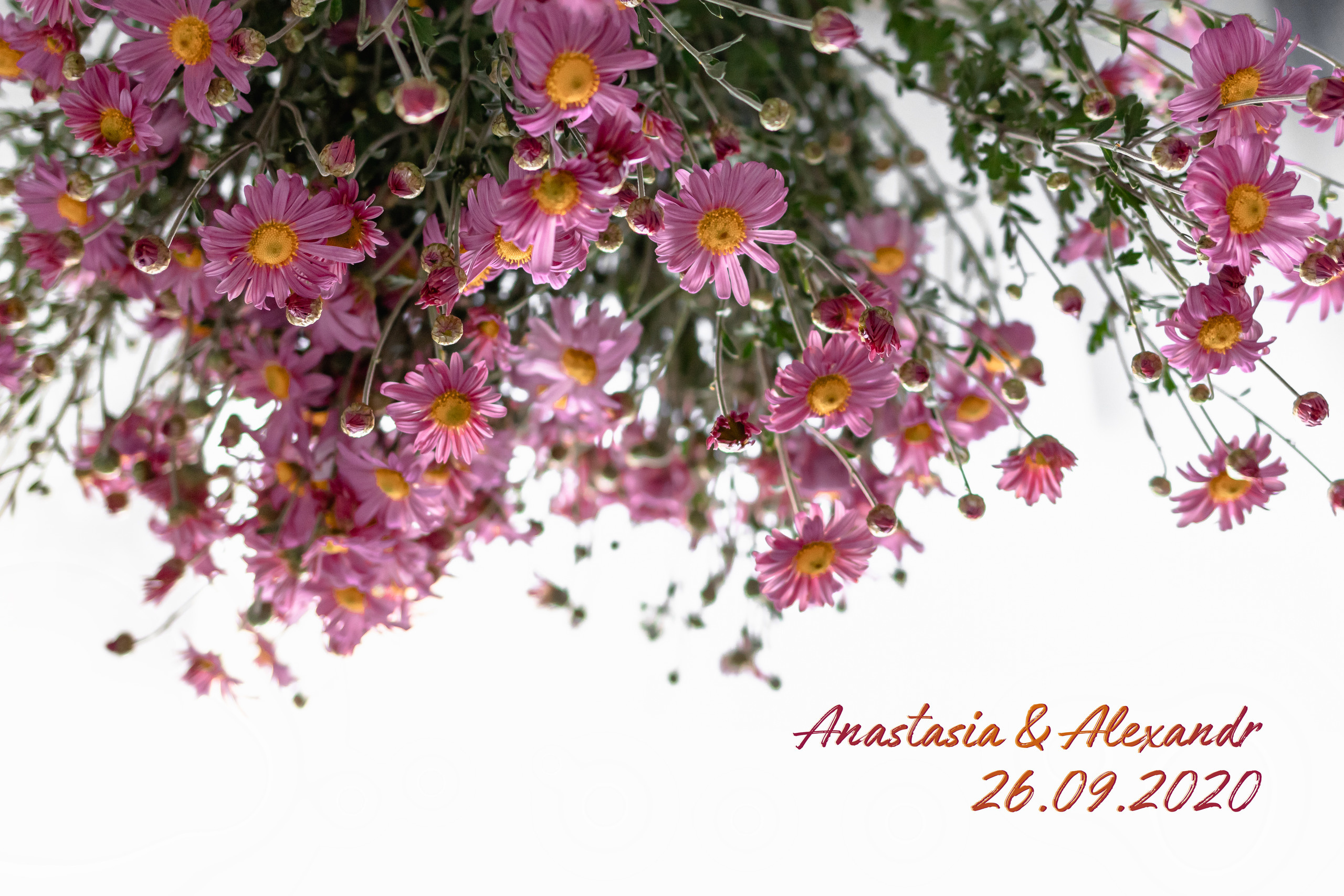 Свадьба А+А. Семейный фотограф в Минске Приболовец Светлана