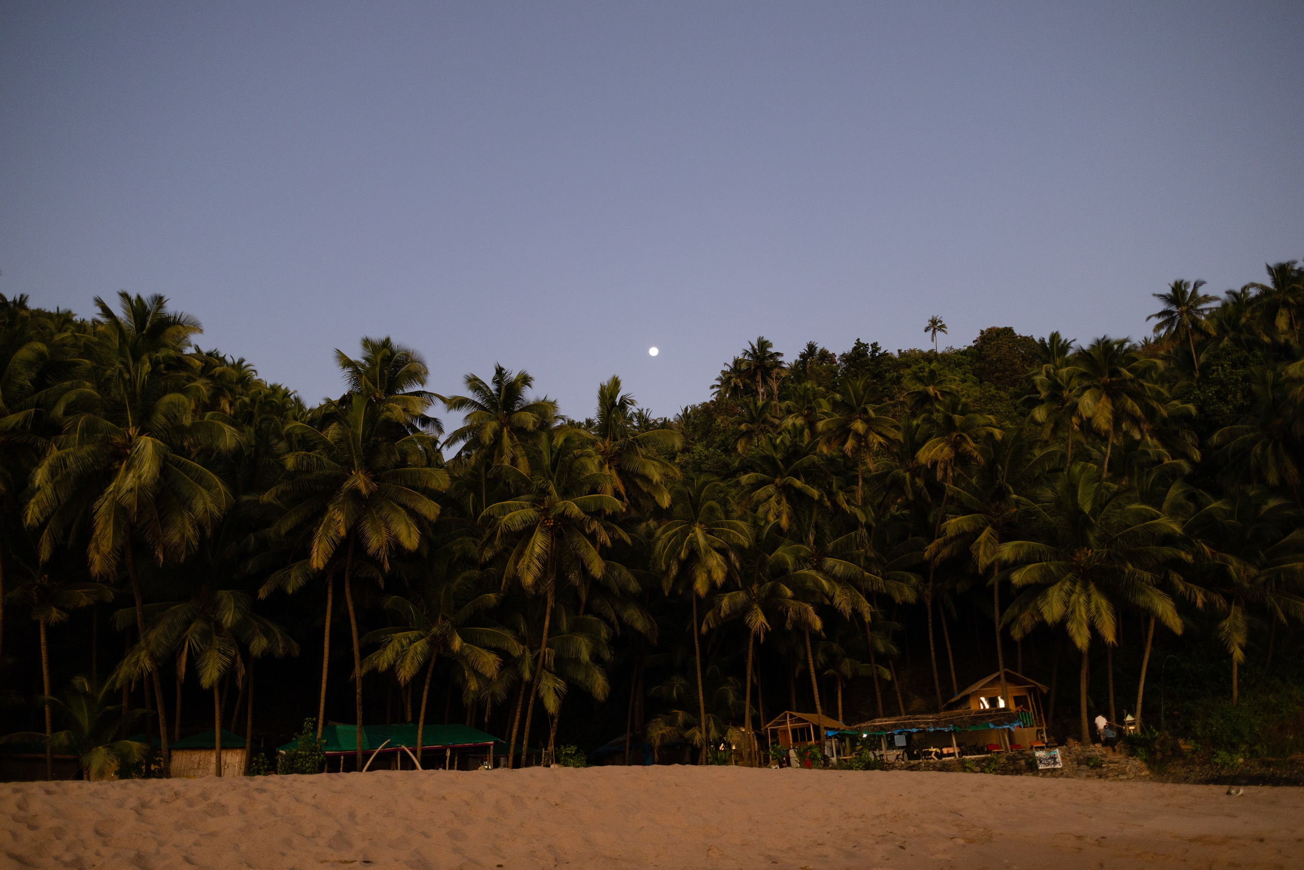 ГОА 2024. Руслан Плахтеев